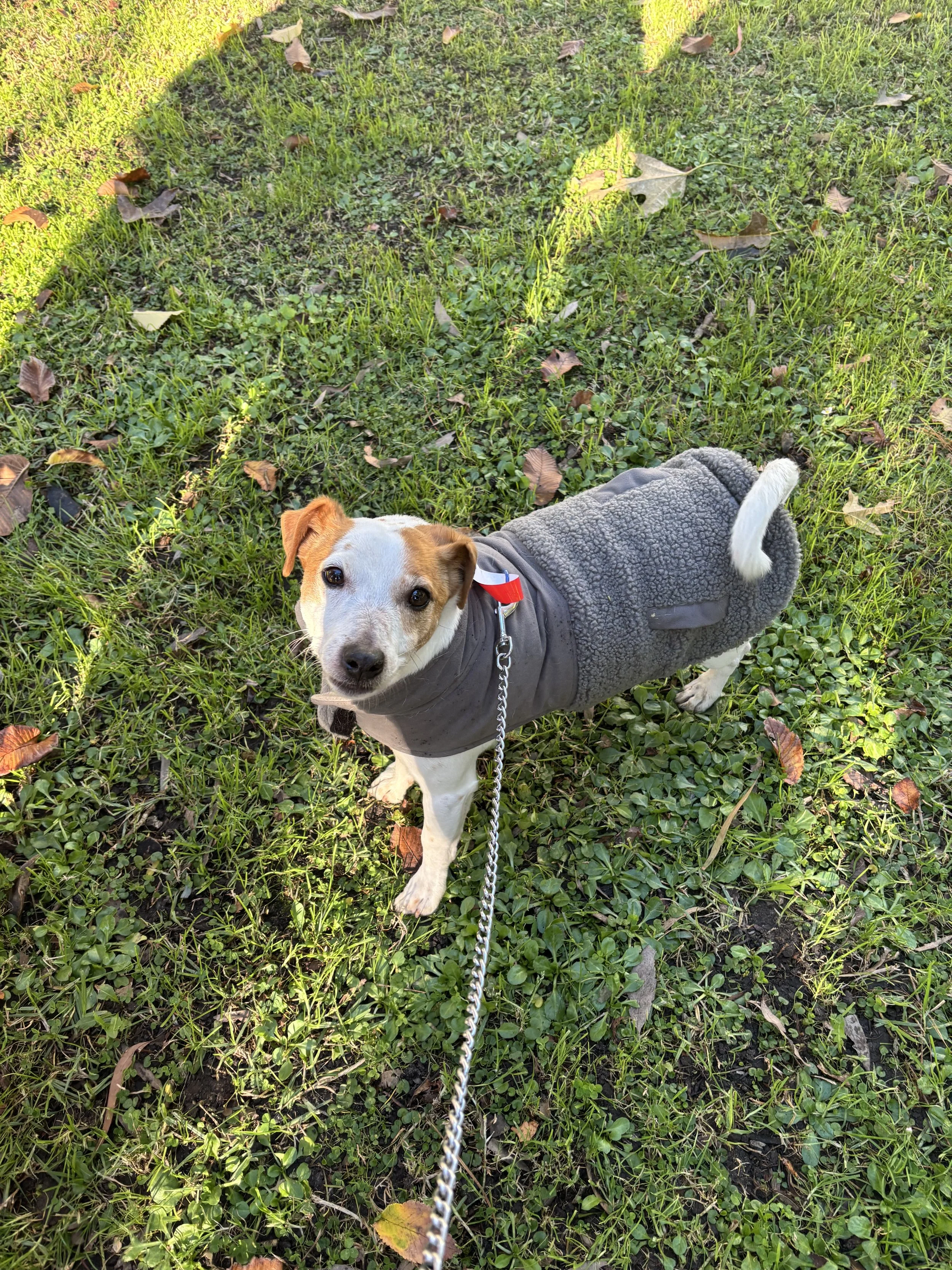 IMG_0331.jpeg