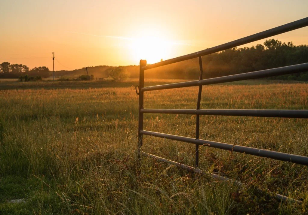 A rural scene at sunset with a metal fence in the foreground and open grassy fields, trees, and power lines in the background.