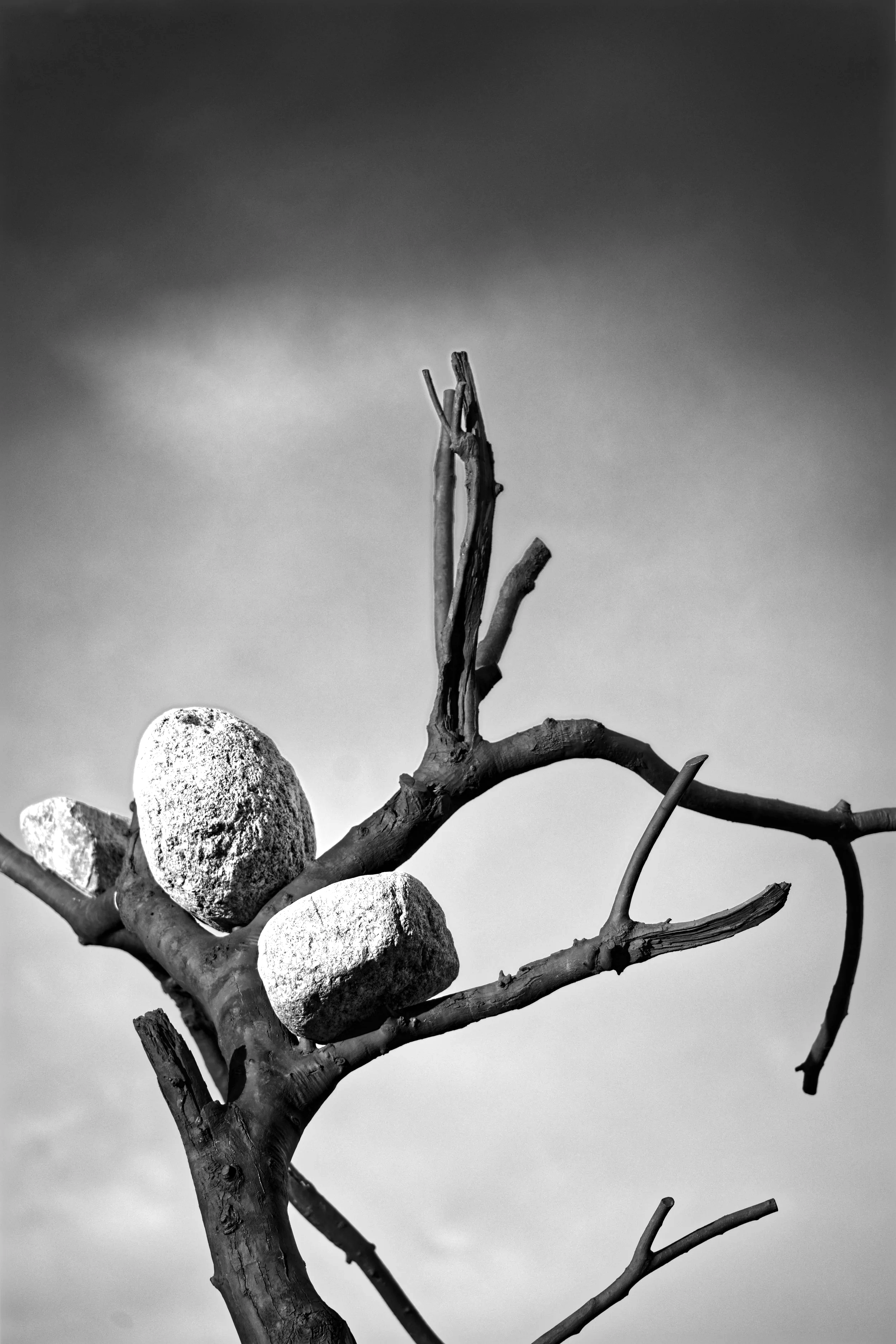 01st arrondissement, Paris, France | 2025