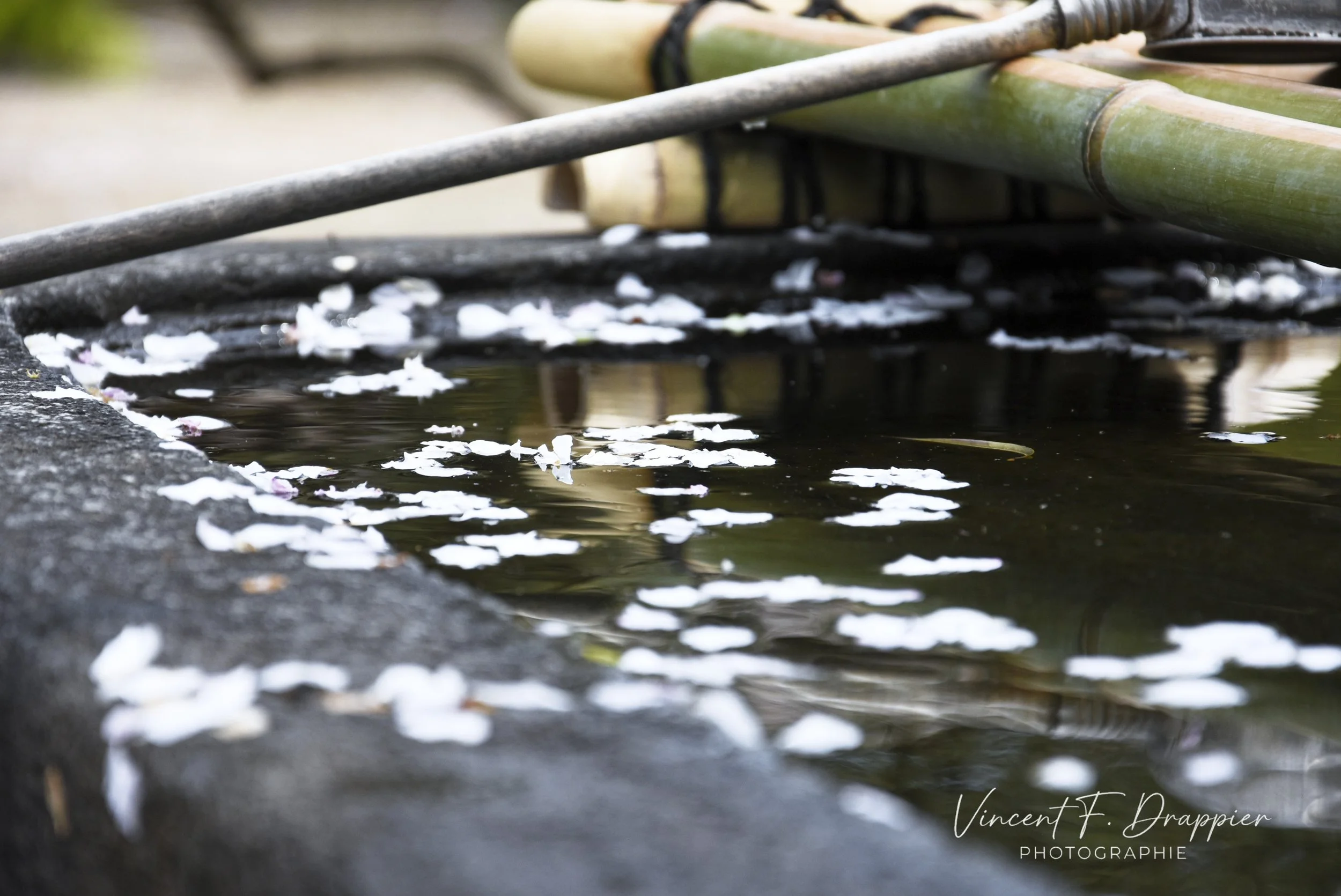XYZ_2222_DxO_full.jpg