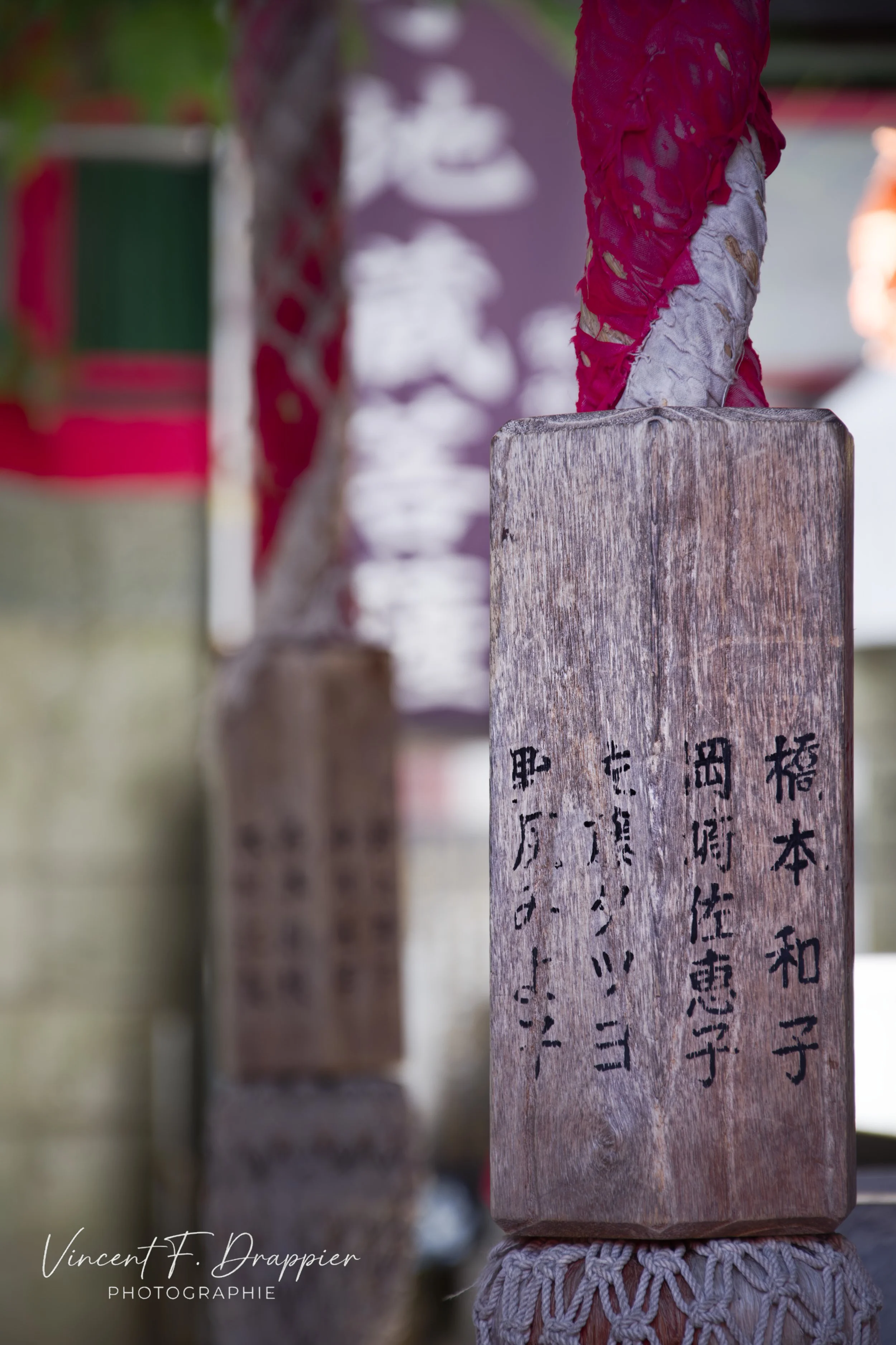20191006_D7200_6493_DxO_full.jpg
