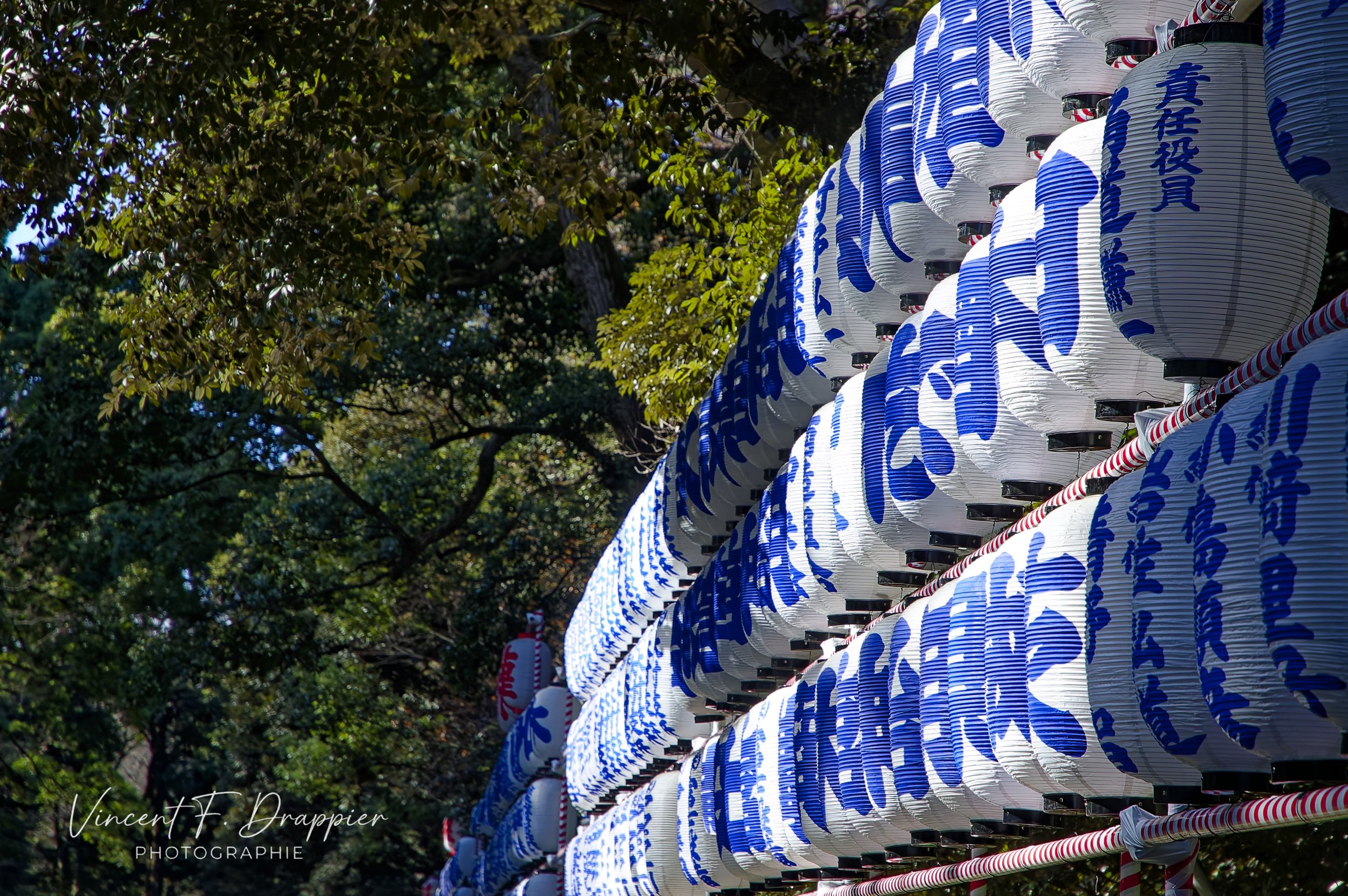 20121224_D50_0055_DxO_full.jpg