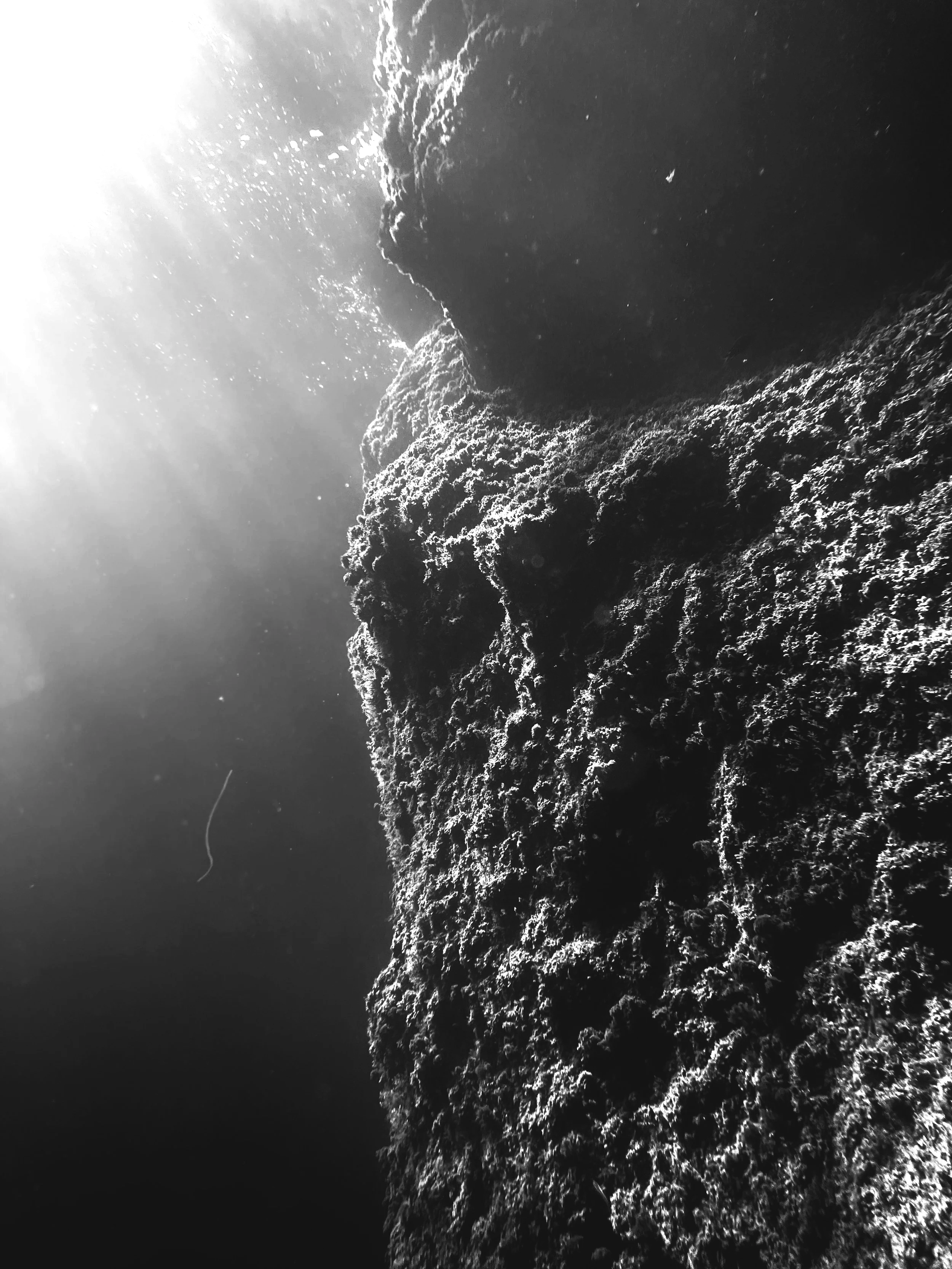 Underwater view of a rocky surface with sunlight filtering through the water from the upper left corner.