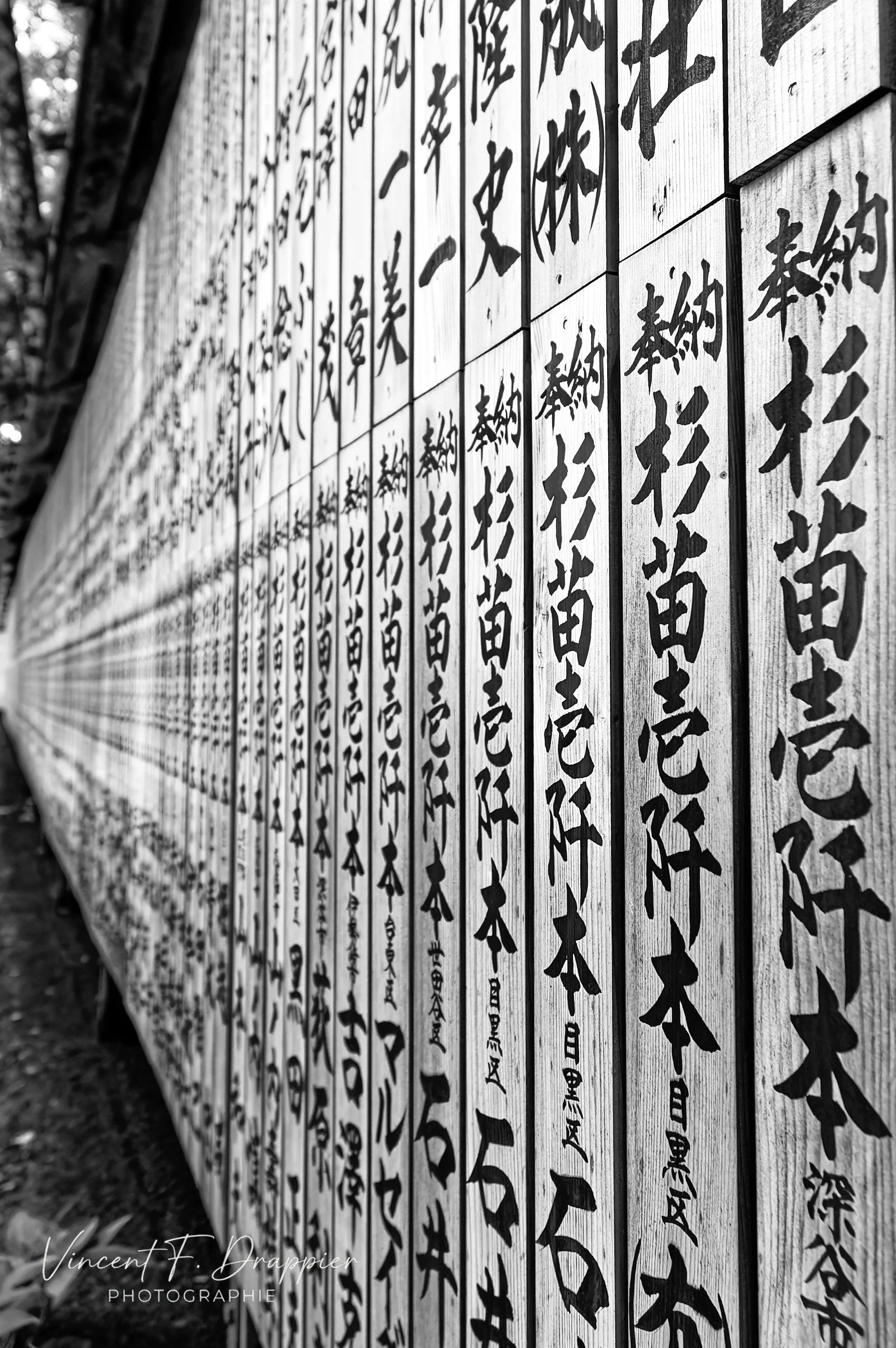 20100917_D50_365_1_DxO_full.jpg