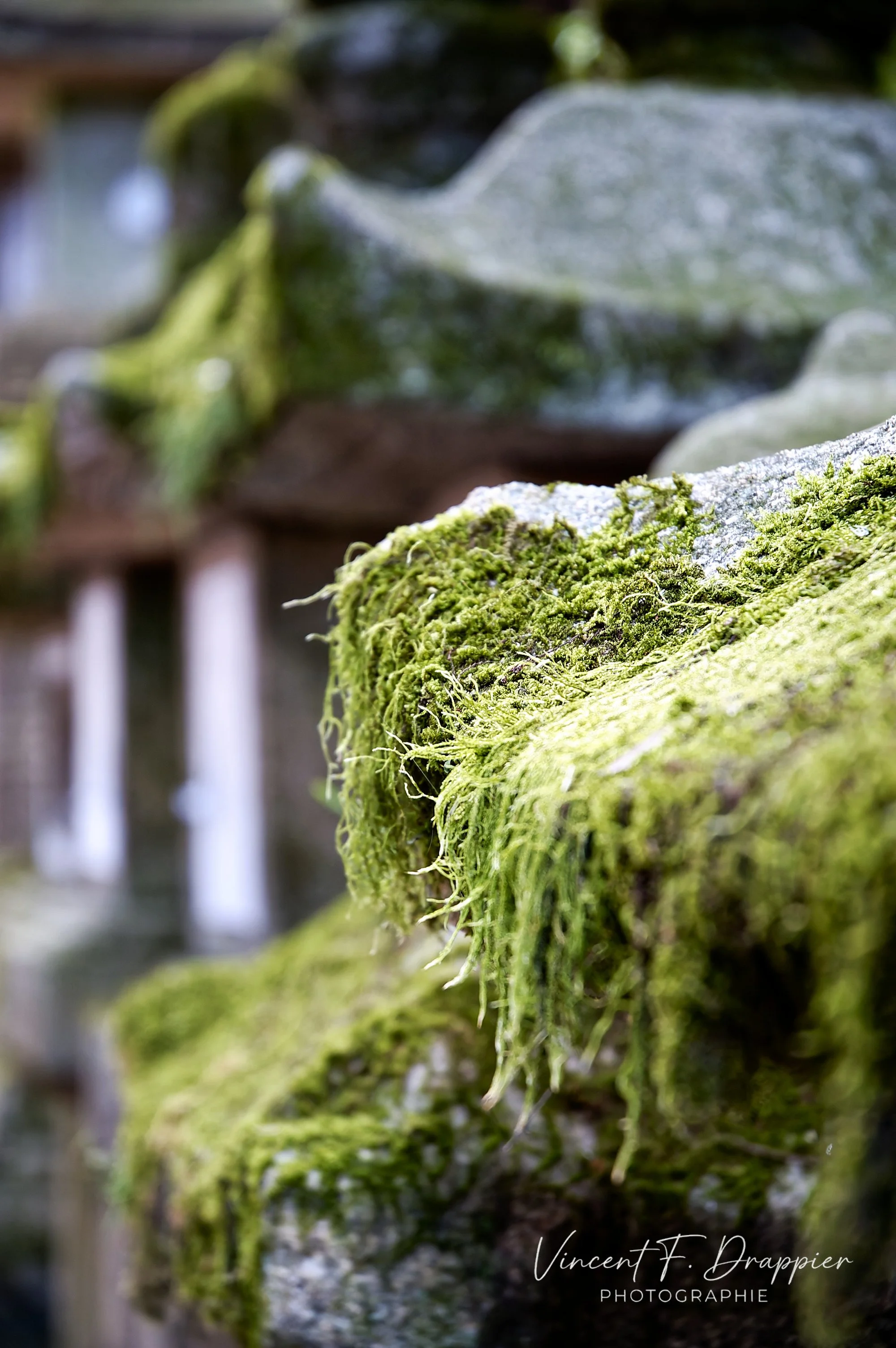 20100922_D50_935_DxO_full.jpg