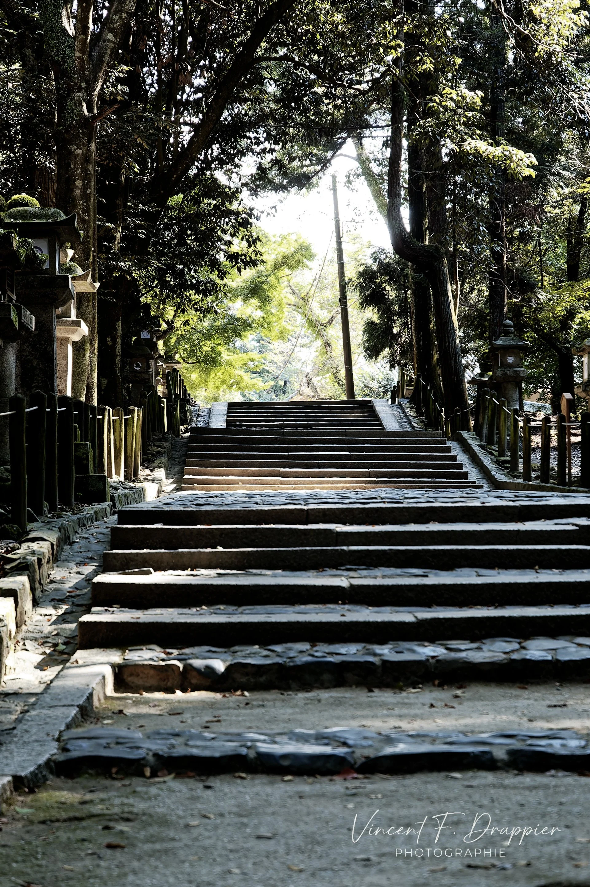 20100922_D50_971_DxO_full.jpg
