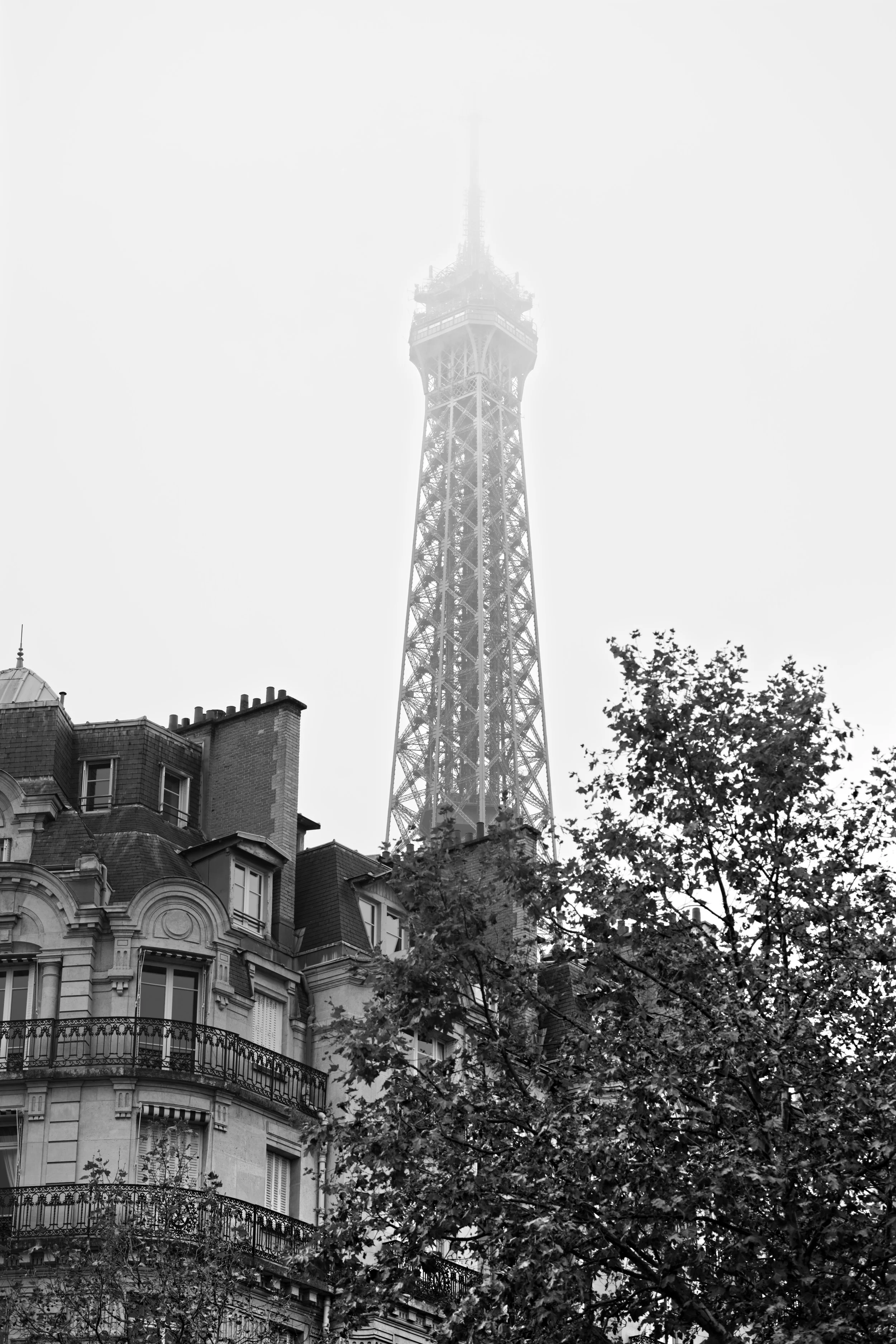 Black and white photo of the Eiffel Tower in Paris partially obscured by fog, with historic Parisian buildings and trees in the foreground.
