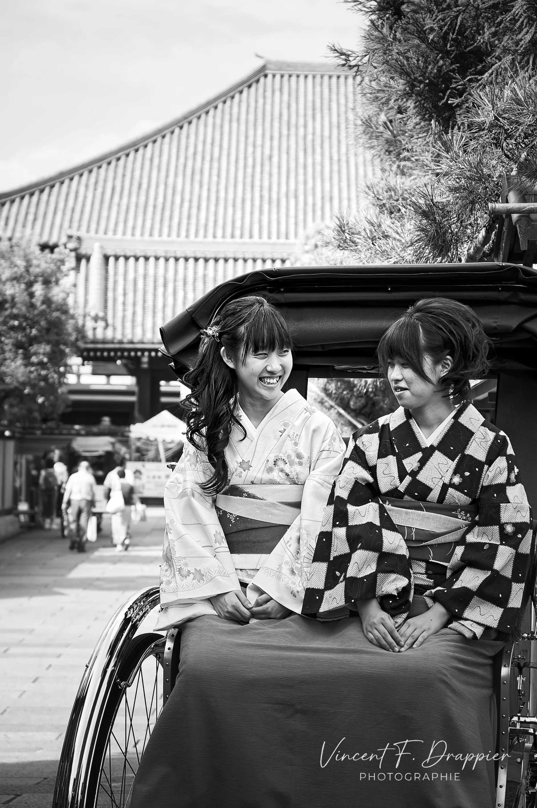 20100921_D50_800_DxO_full.jpg