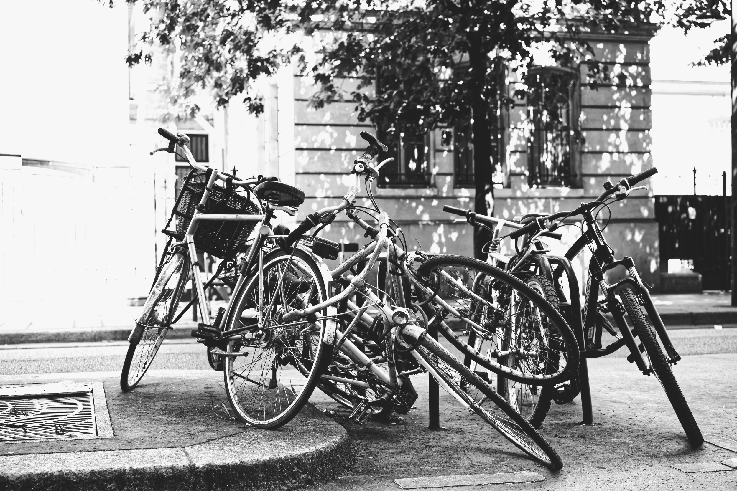 Several bicycles are parked and knocked over on a city sidewalk, with a building and trees in the background.