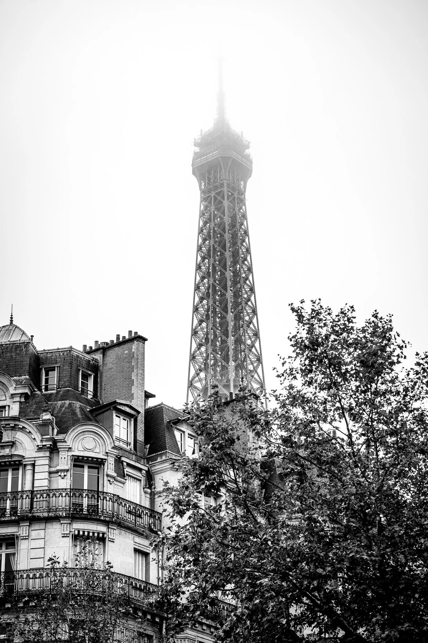 07th arrondissement, Paris, France | 2025