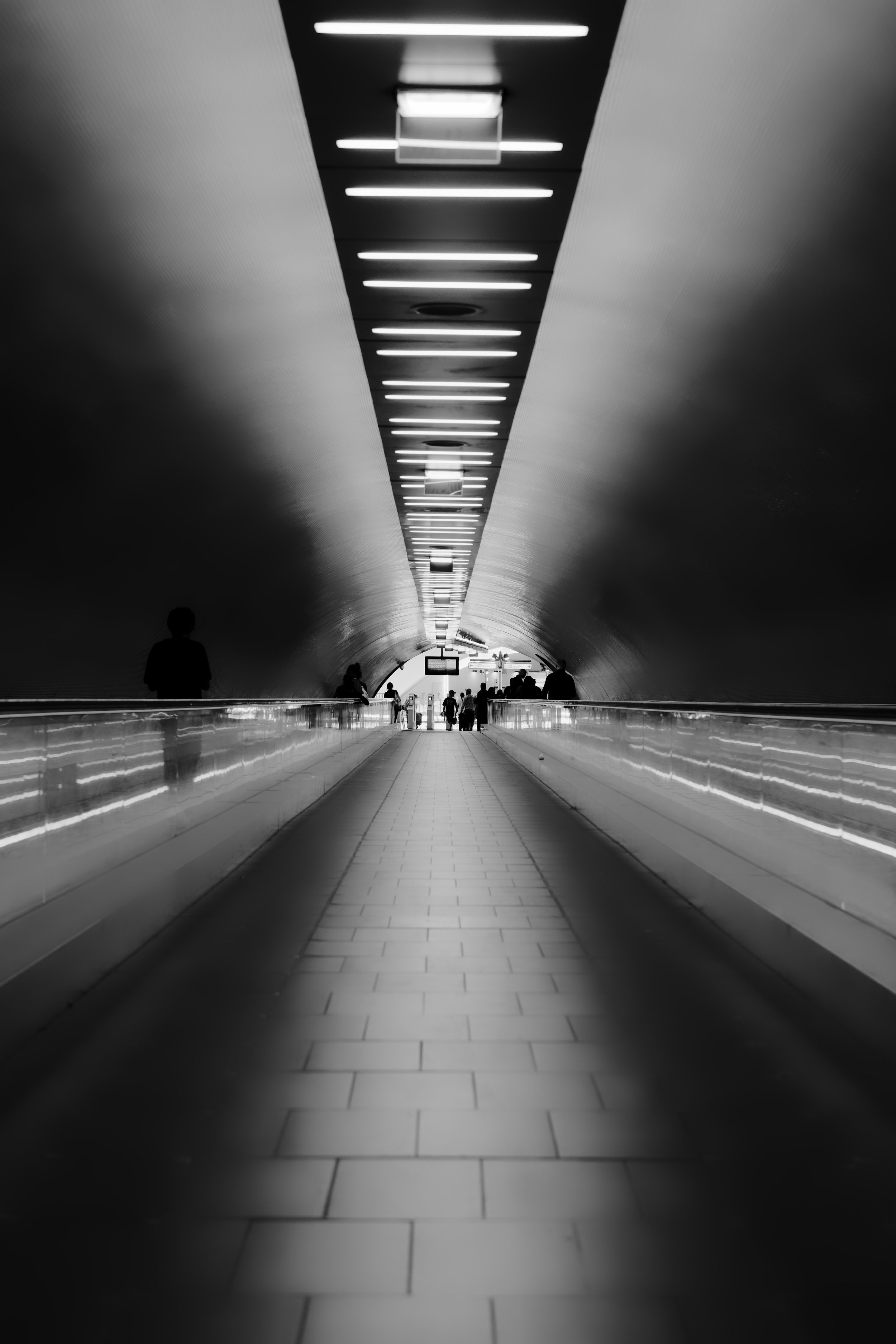 20250823_XYZ2119_DxO.JPG