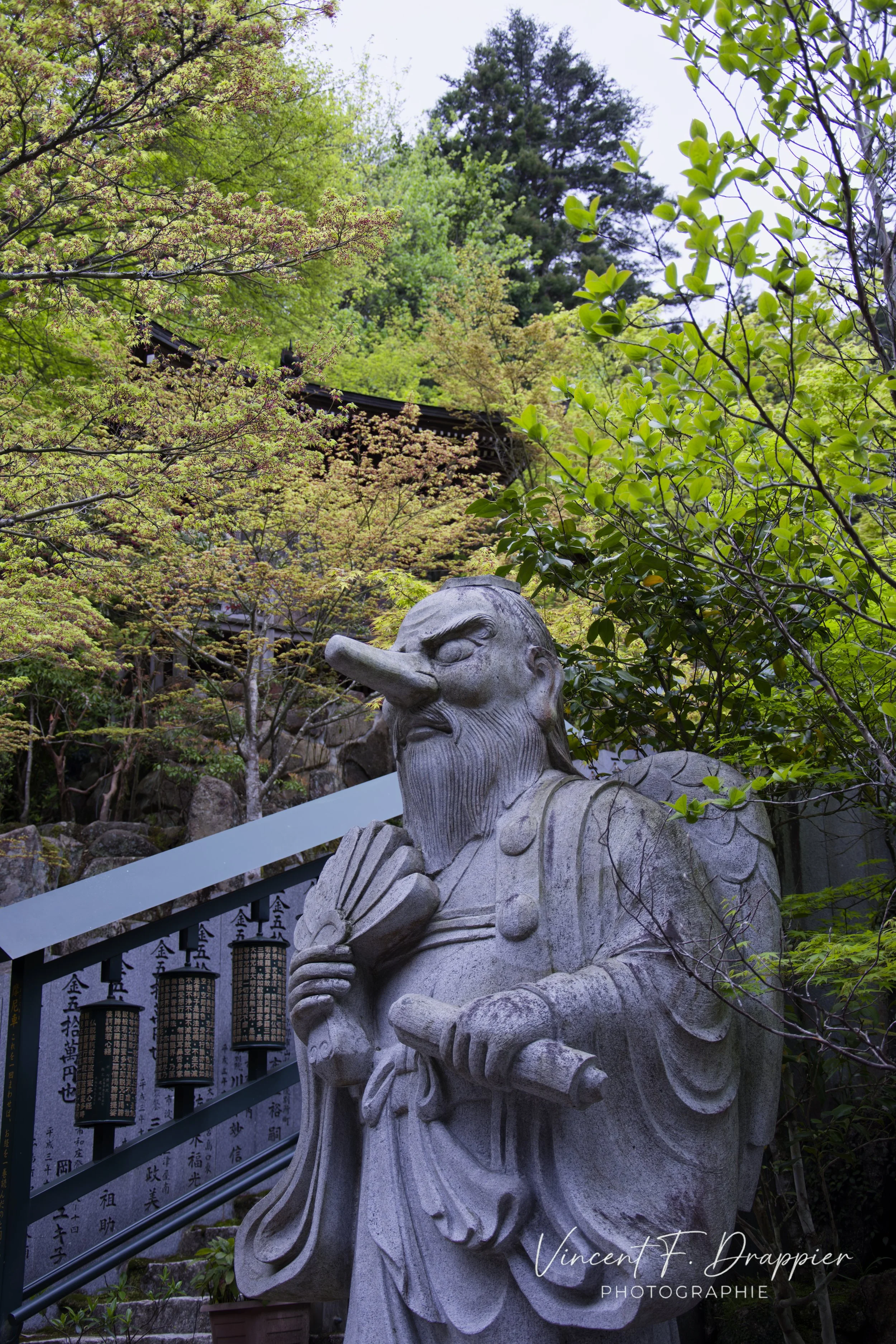 20170420_D7200_3484_DxO_full.jpg