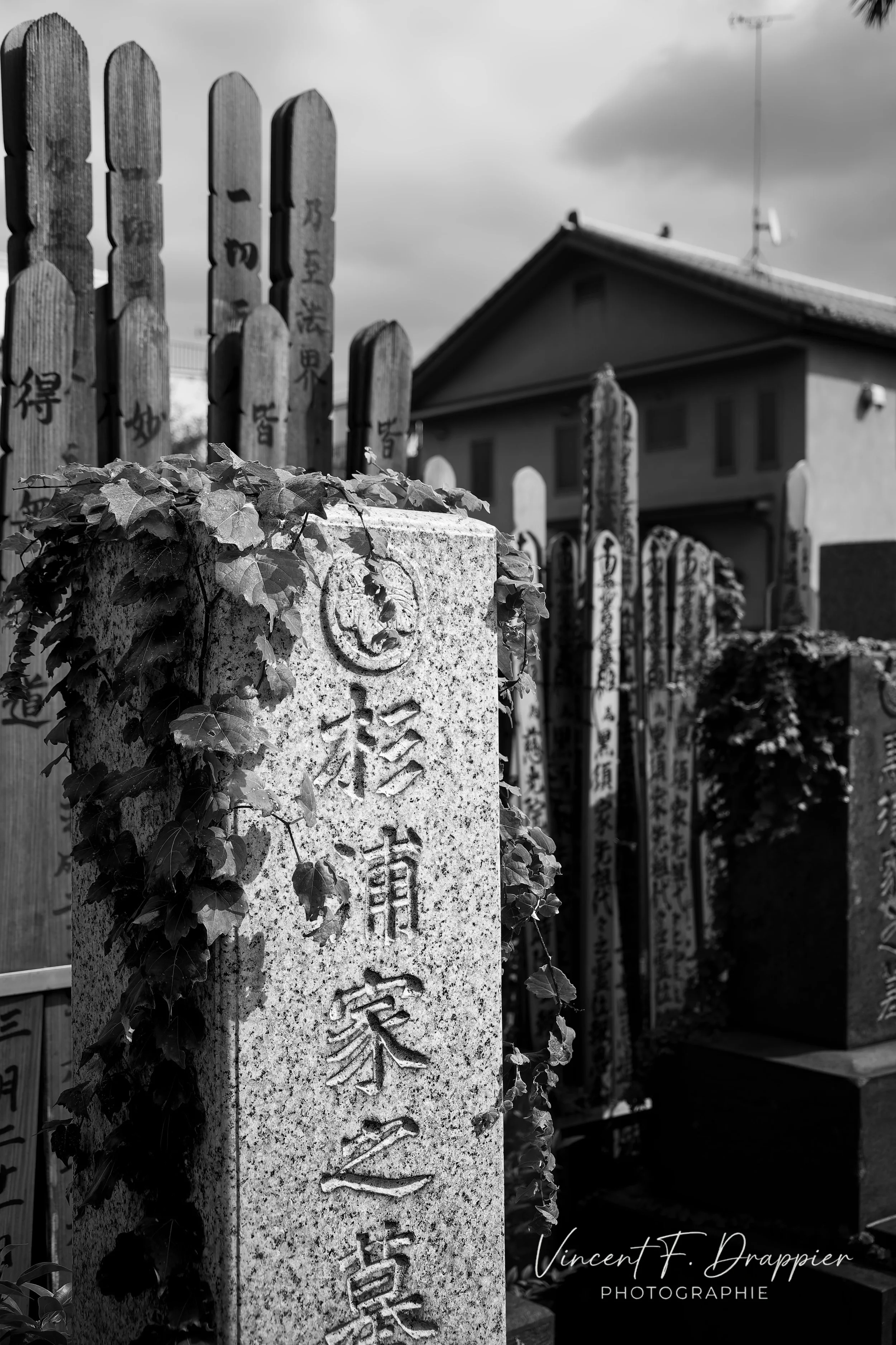 20191010_D7200_7020_DxO_full.jpg