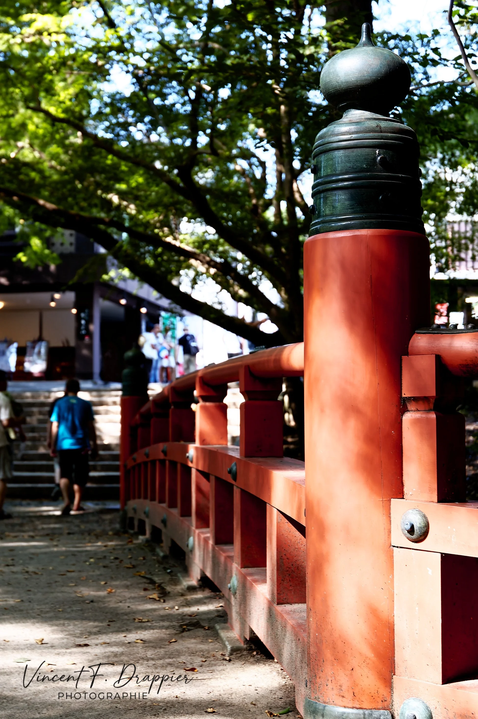 20100922_D50_973_DxO_full.jpg
