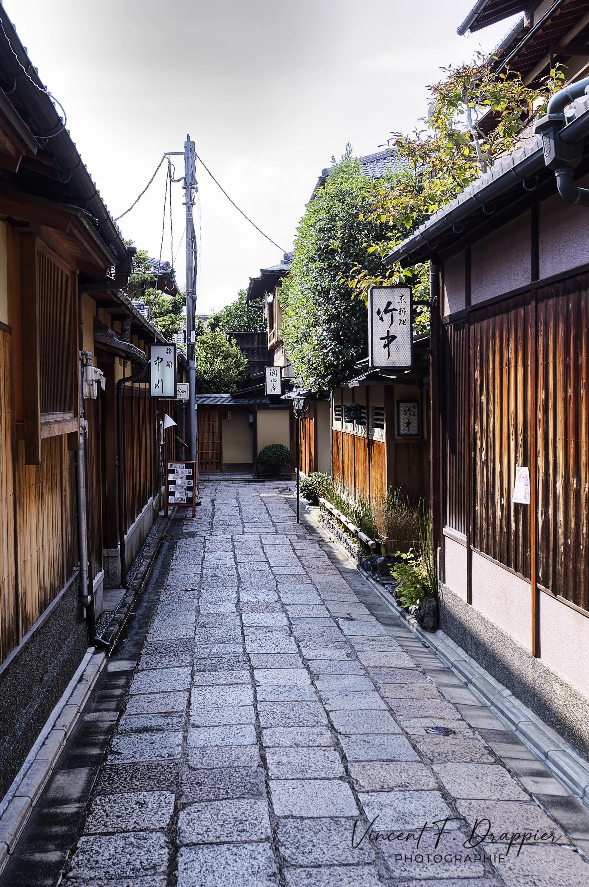 20100921_D50_802_M_DxO_full.jpg