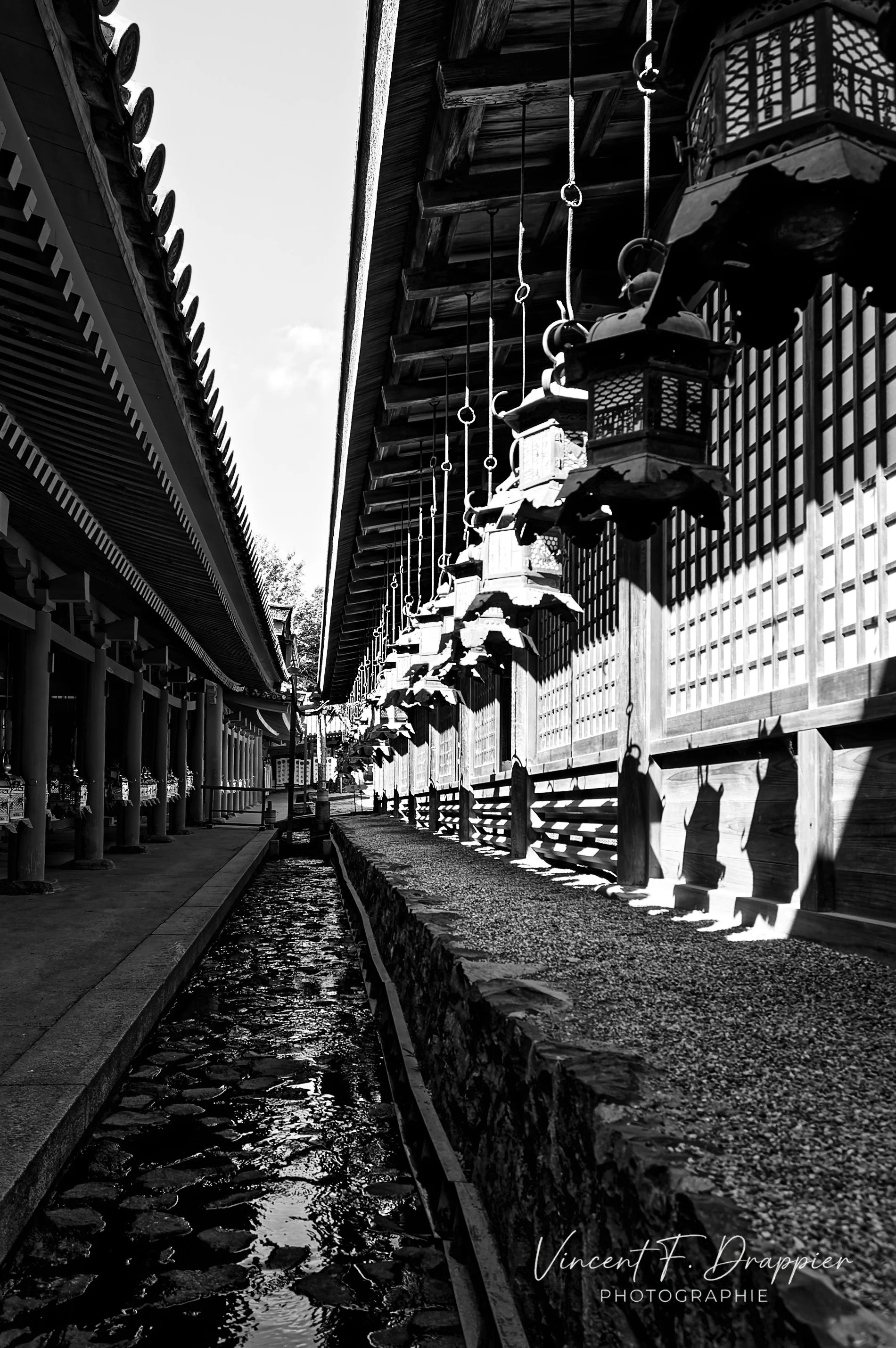 20100922_D50_963_1_DxO_full.jpg
