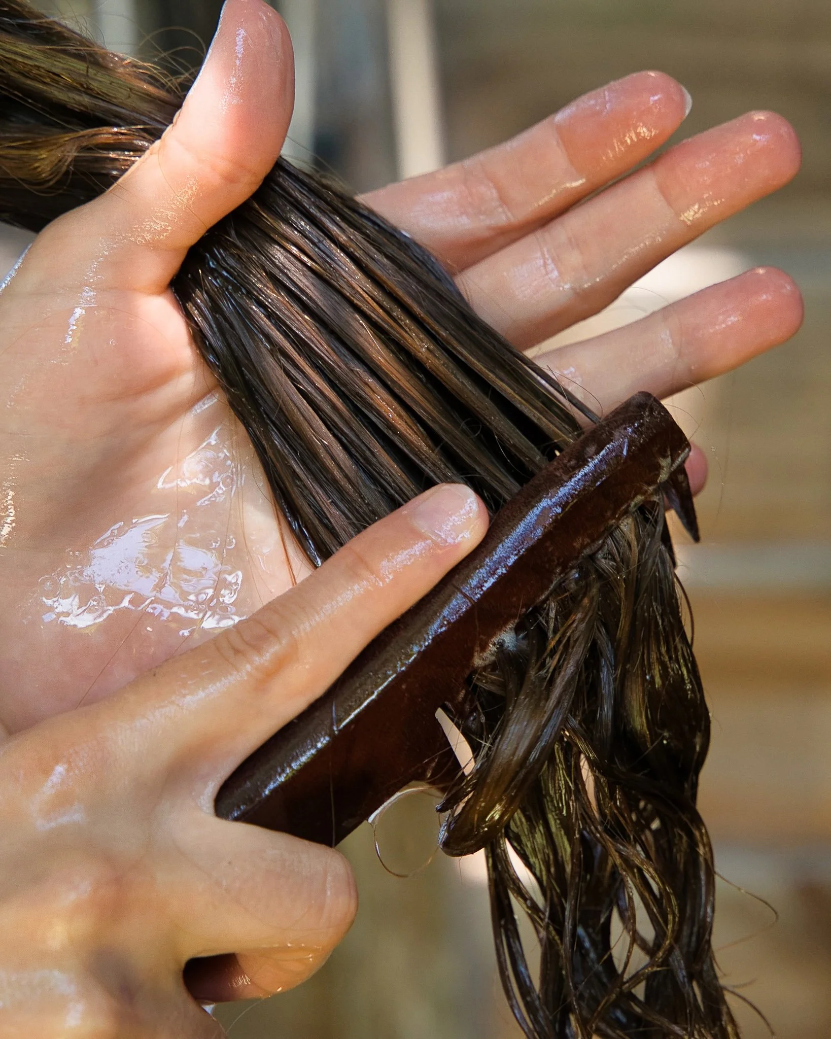 SGP01602.jpg (Copy) (Copy)