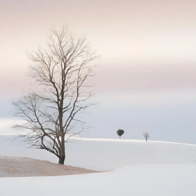 C&rsquo;est la fin d&rsquo;un cycle. La cl&ocirc;ture d&rsquo;une ann&eacute;e 9.

Les &eacute;nergies de cette semaine viennent &eacute;clairer ce qui &eacute;tait fig&eacute; en nous. Elles mettent en lumi&egrave;re des zones int&eacute;rieures que