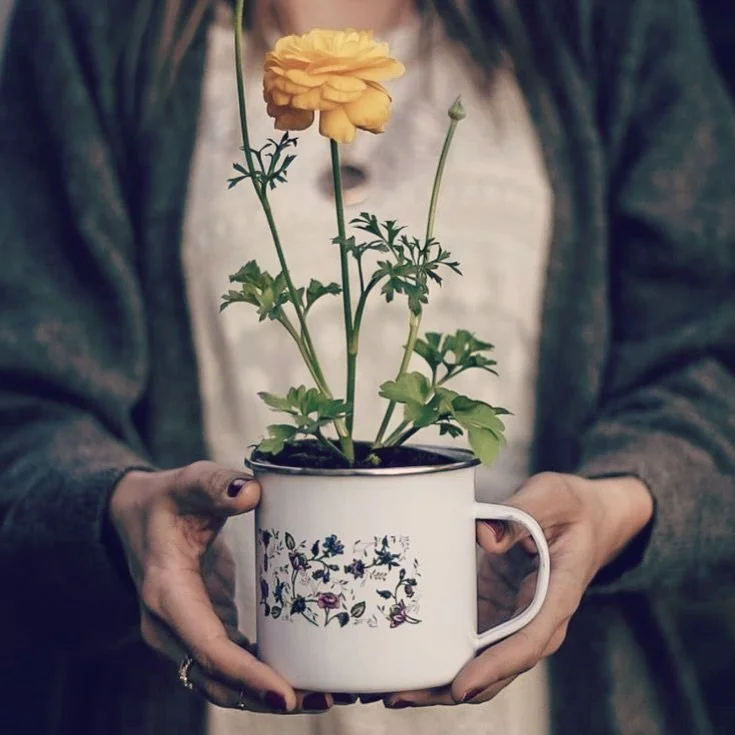 Cette semaine est sans doute une des semaines les plus charg&eacute;es vibratoirement de l&rsquo;ann&eacute;e. Avec une pleine lune jeudi et les &eacute;nergies de P&acirc;ques qui s&rsquo;en viennent&hellip;
La pleine lune en Balance vient mettre en