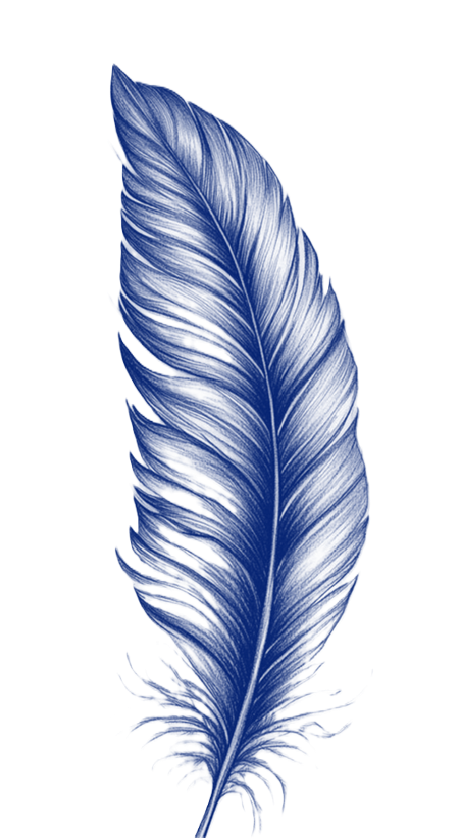 A detailed blue feather with intricate barbs and a central shaft.