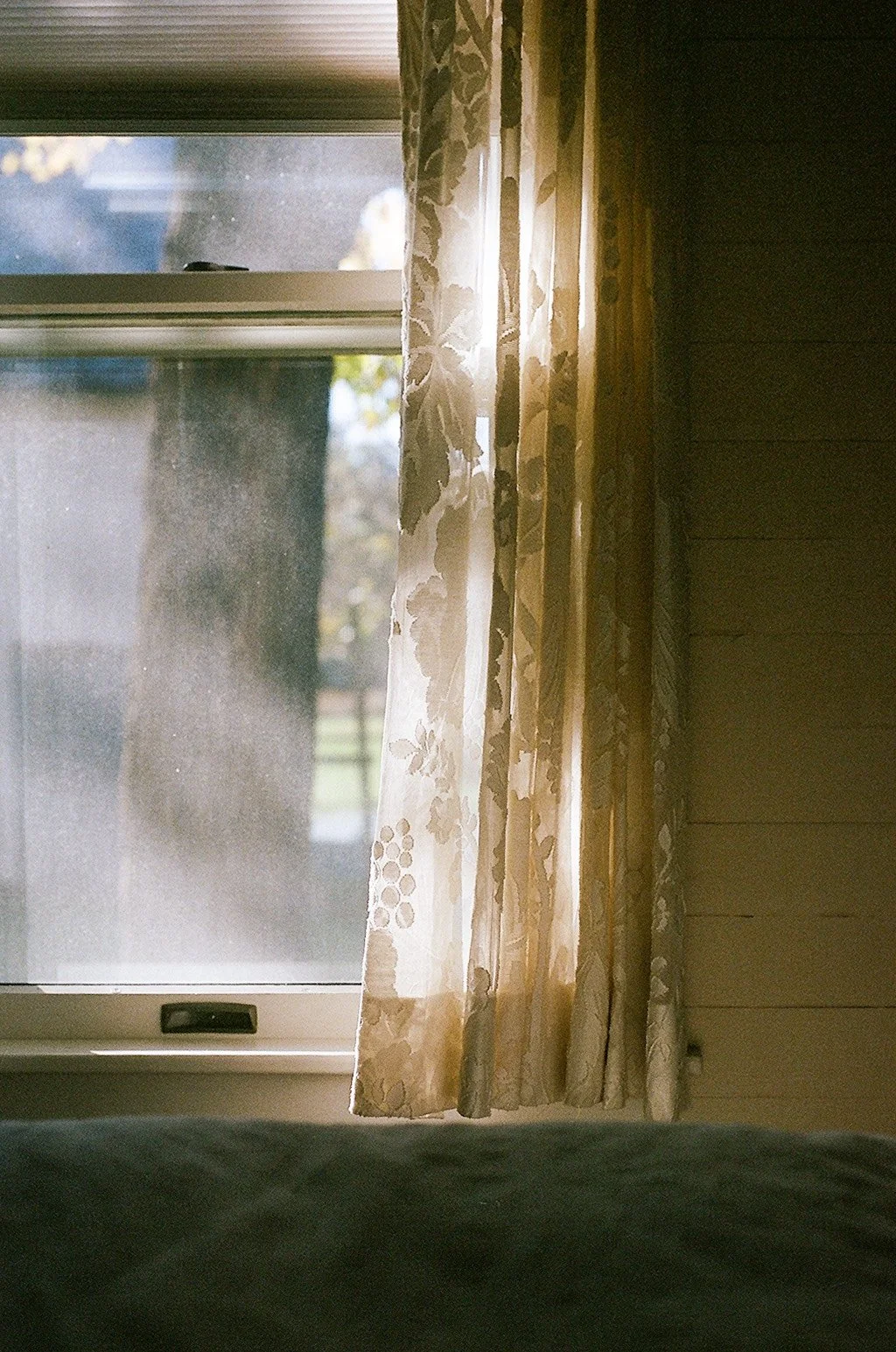 Sunlight shining through a window with floral curtains, showing a blurry outdoor scene with trees.