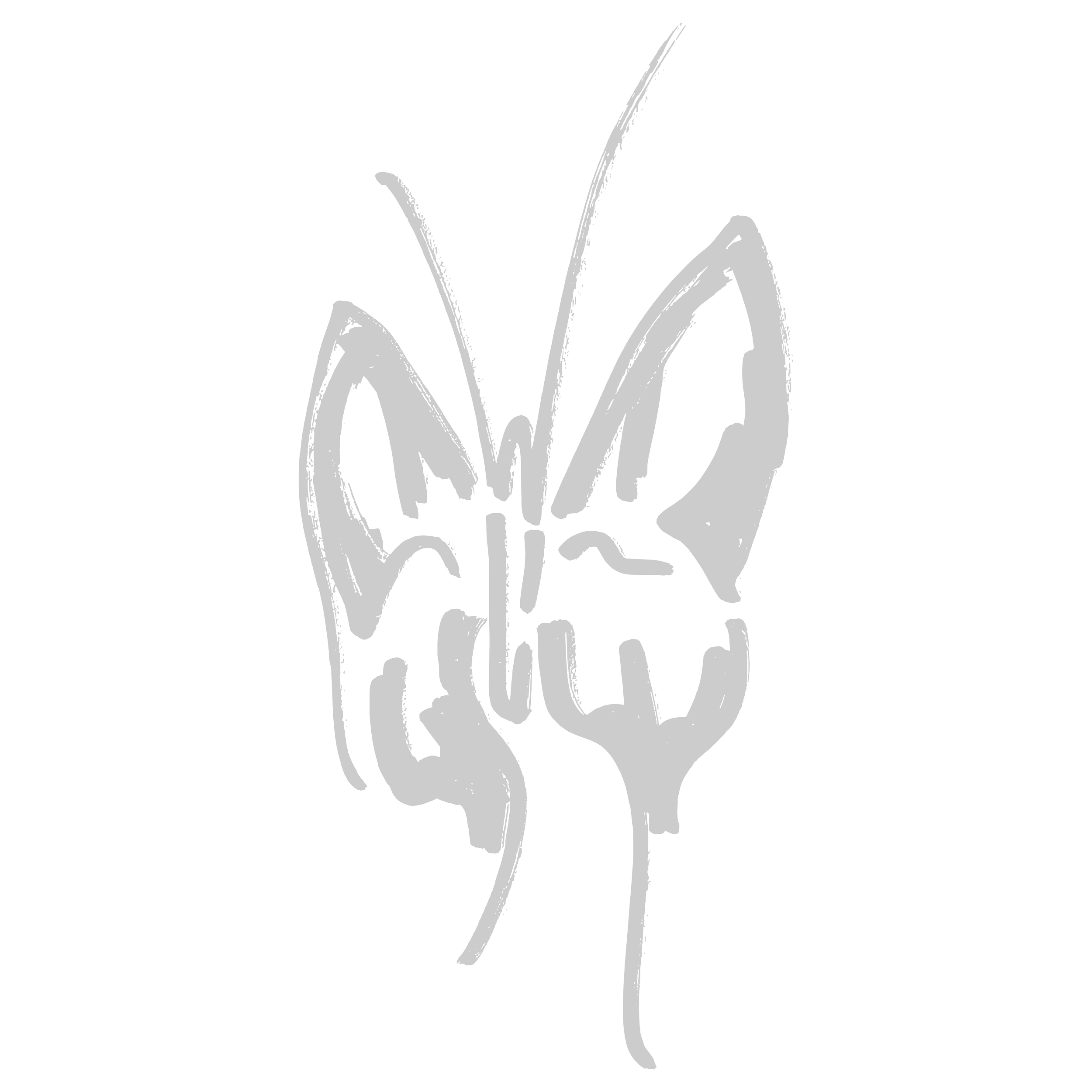 Outline of a butterfly with symmetrical wings and a central body, drawn with simple lines on a black background.