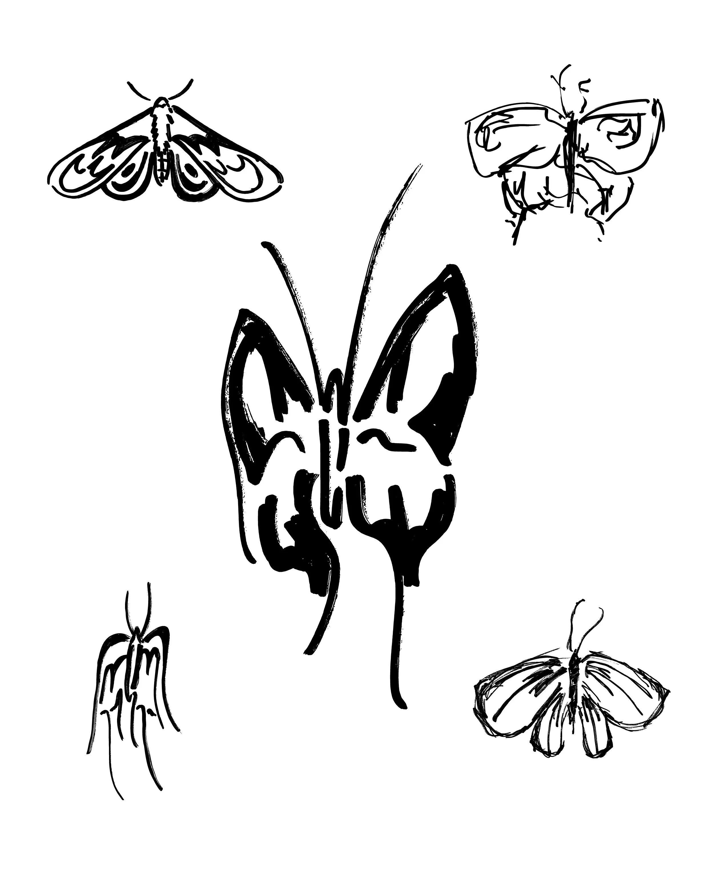 Le illustrazioni realizzate.