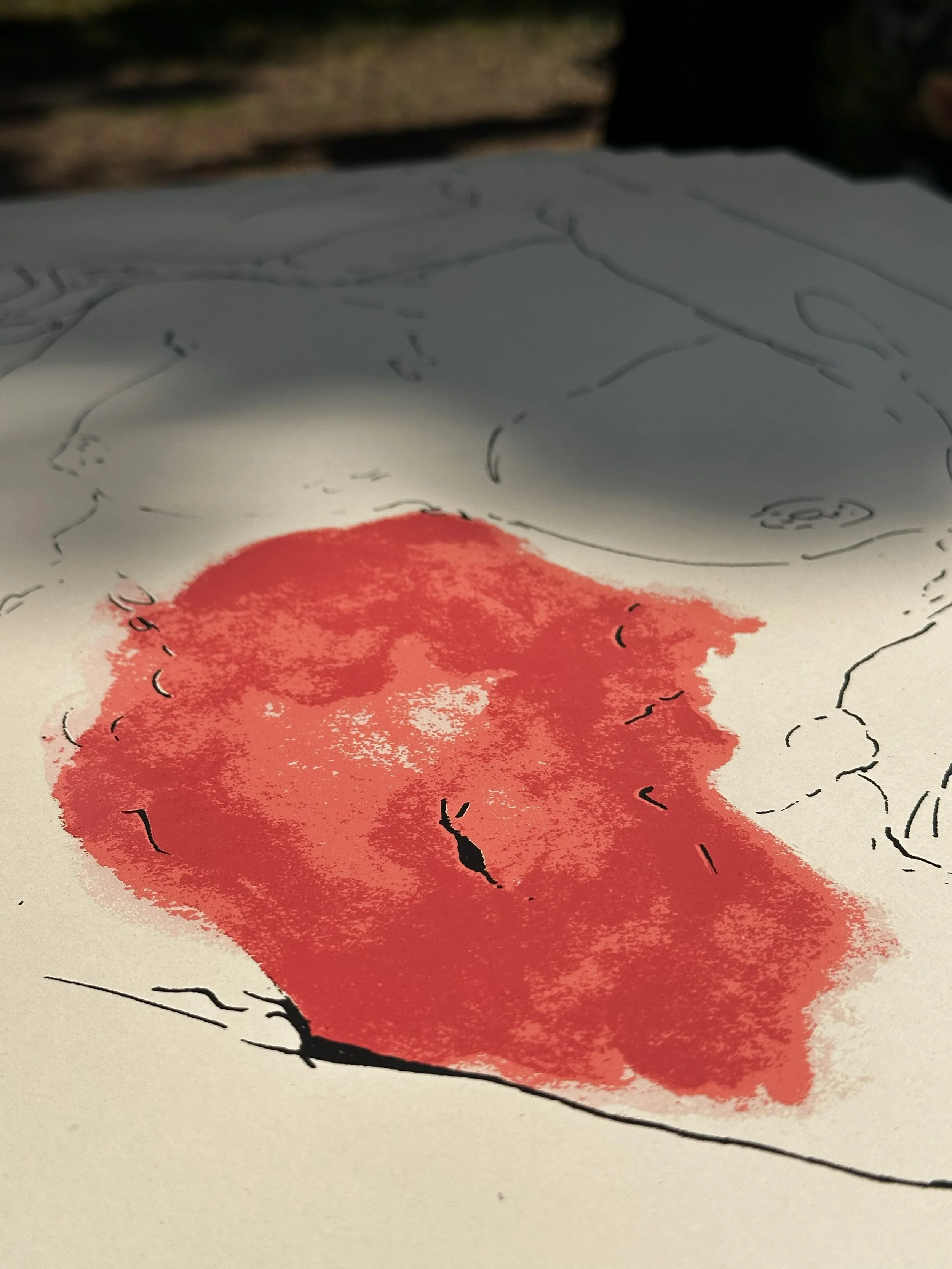 Dettaglio dei 4 colori.