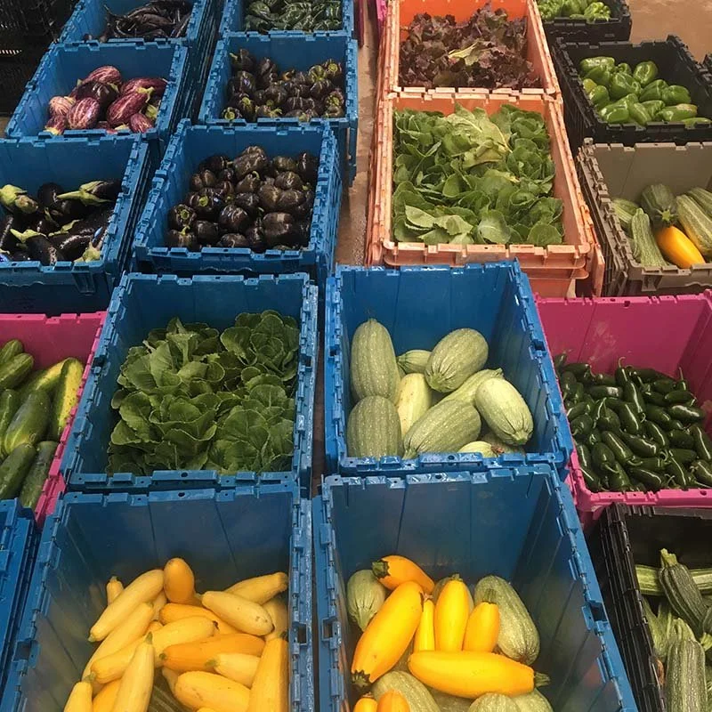 Spend-Down CSA Share