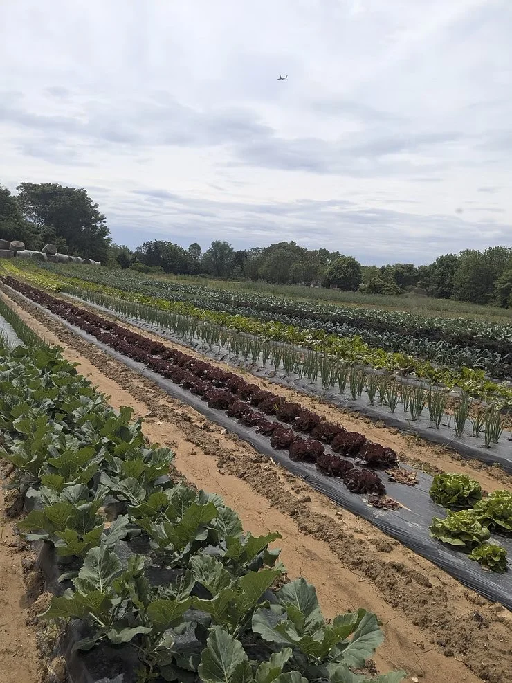 Rainy days, and on, and on...