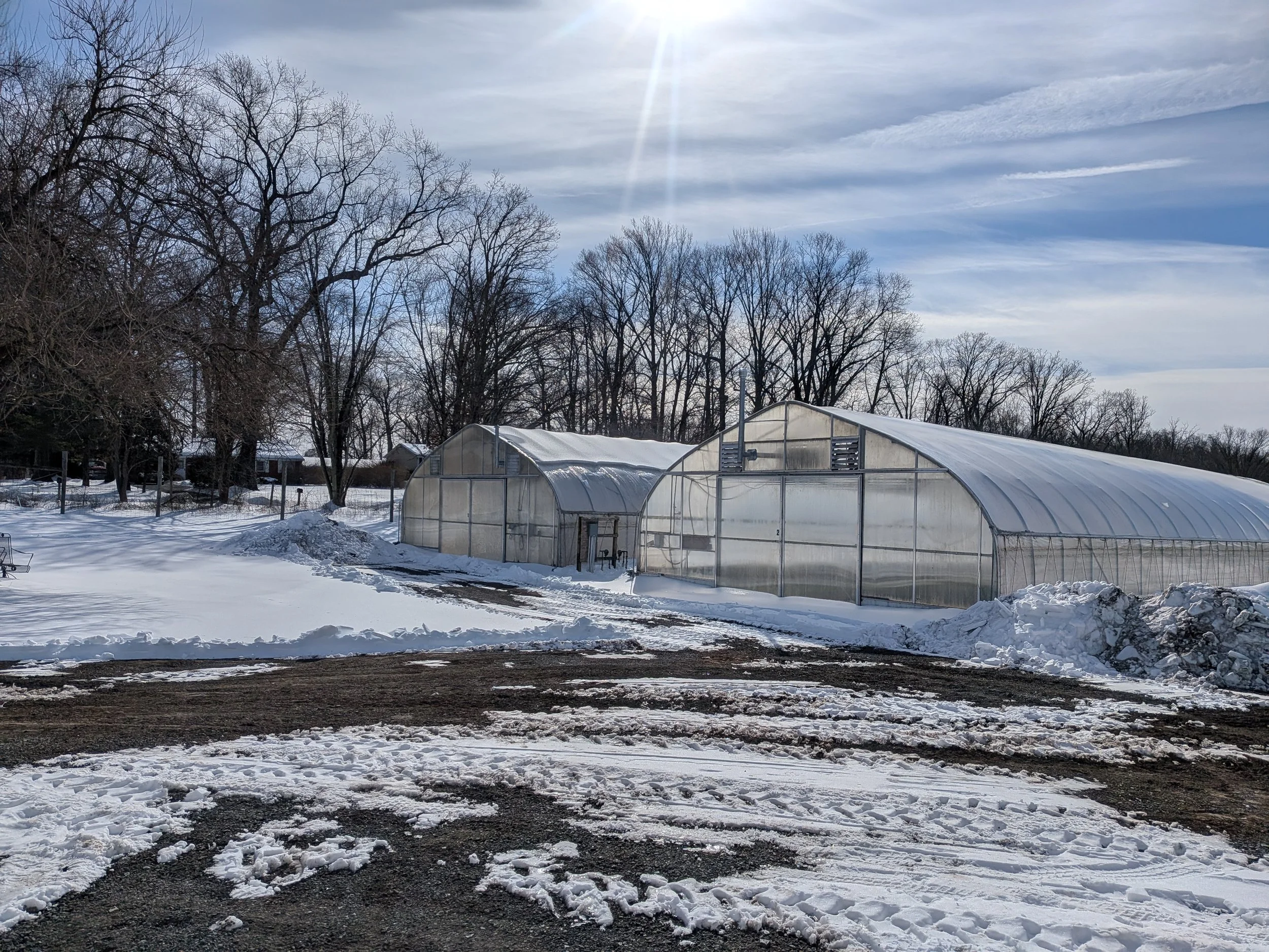Farming in the WINTER!