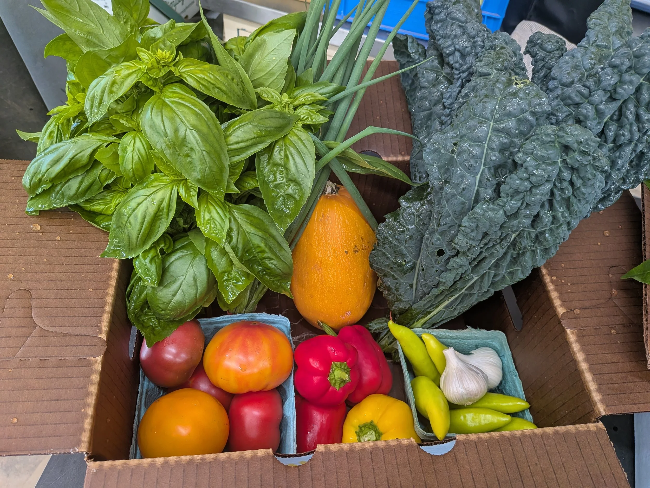 CSA Like a Pro: Spend-Down Share