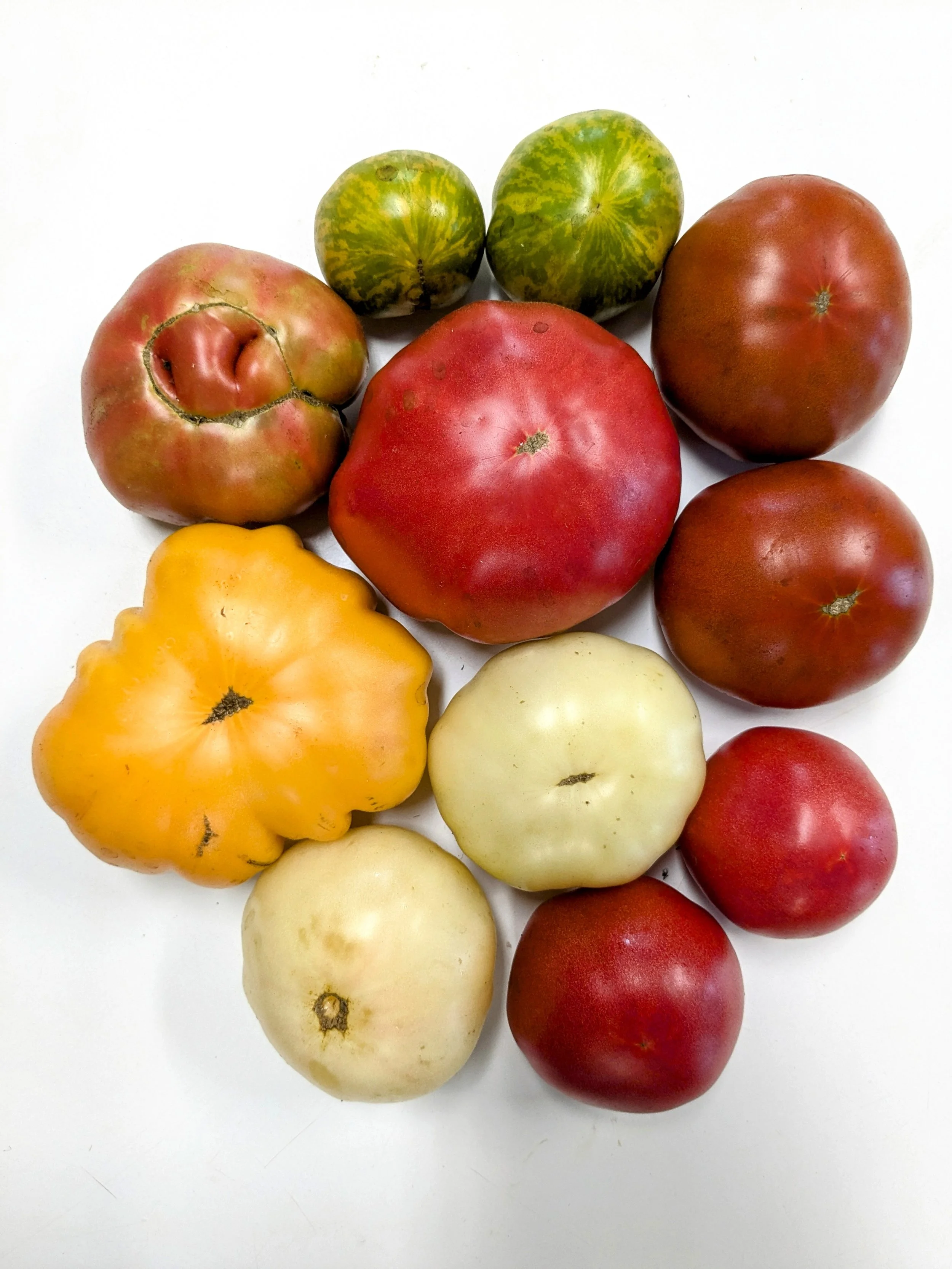 Summer into fall musings