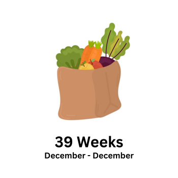 39 Week CSA - Small Share 
