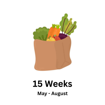 15 Week CSA (Summer) - Small Share