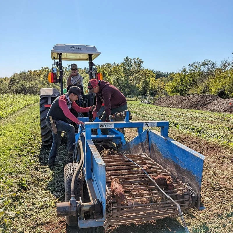 Meet our local farmers