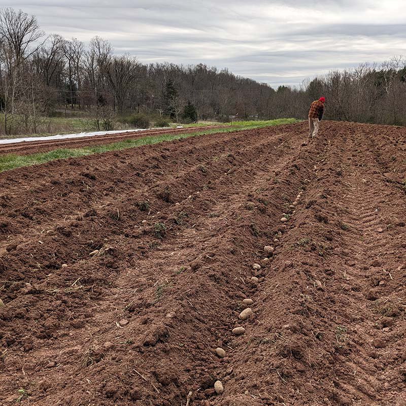 Healthy soil created through composting