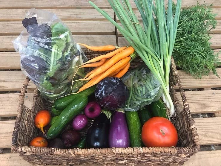 Green Beans, Cut Lettuce, and Carrots