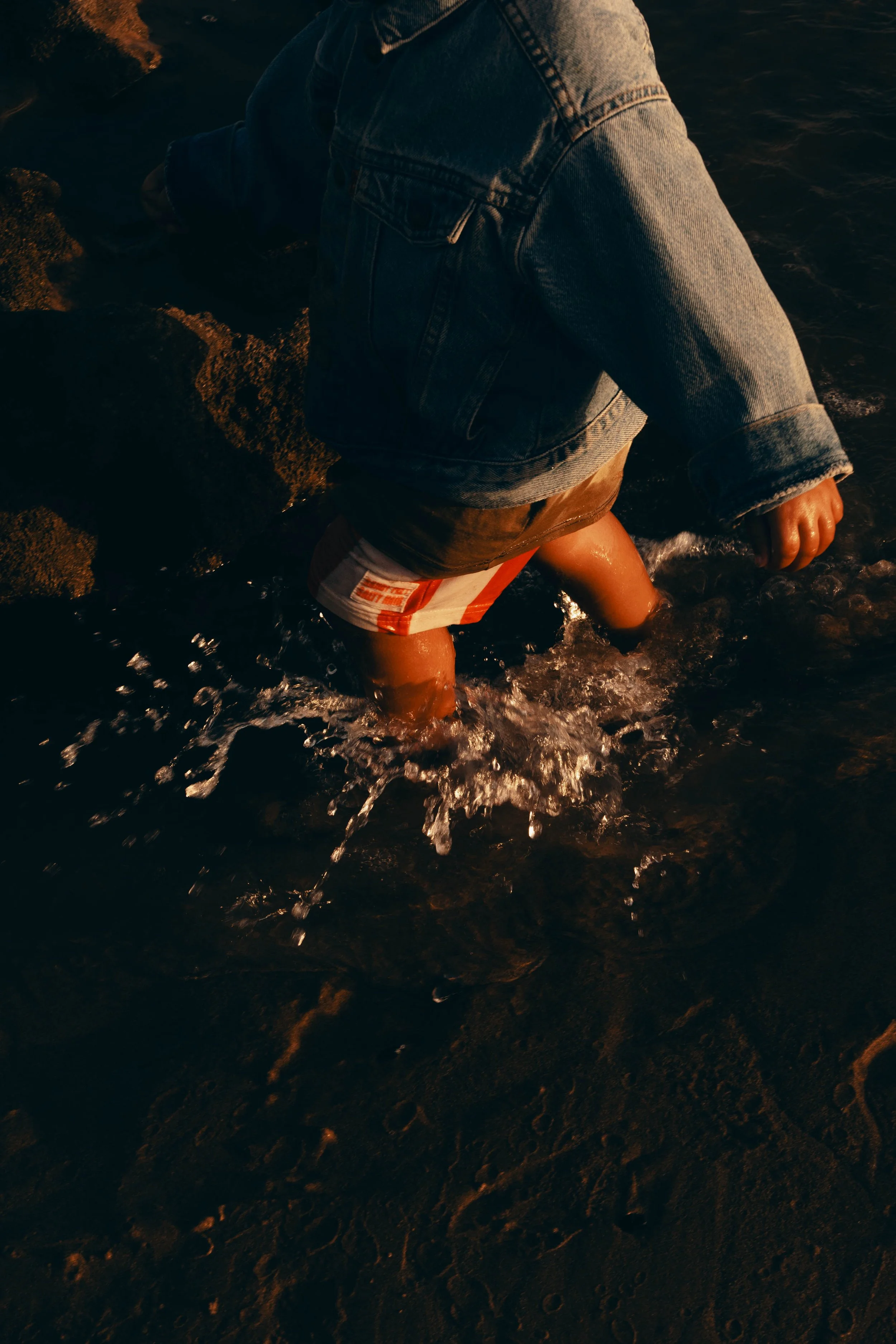 SB_03456.jpg