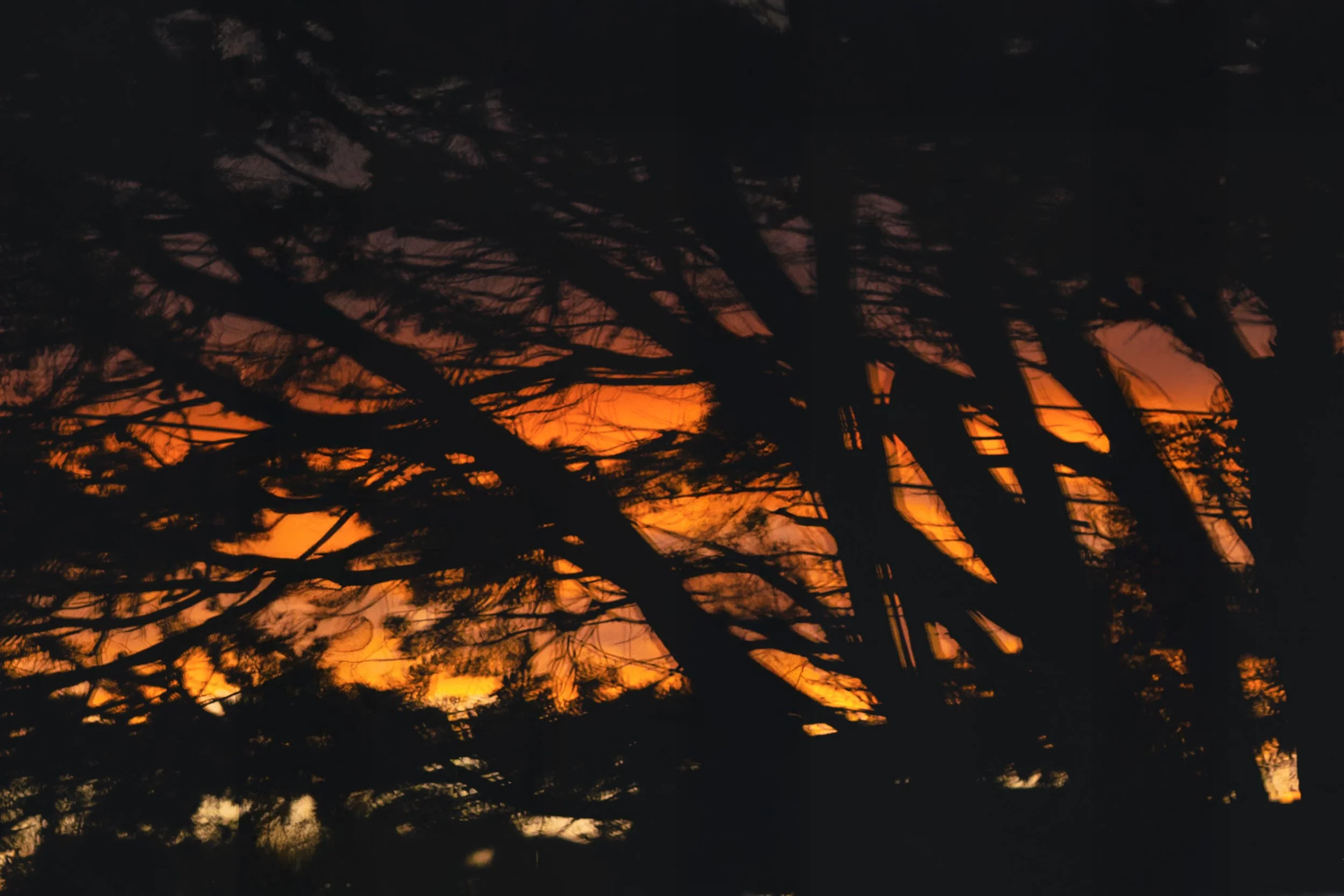 SB_05651.jpg