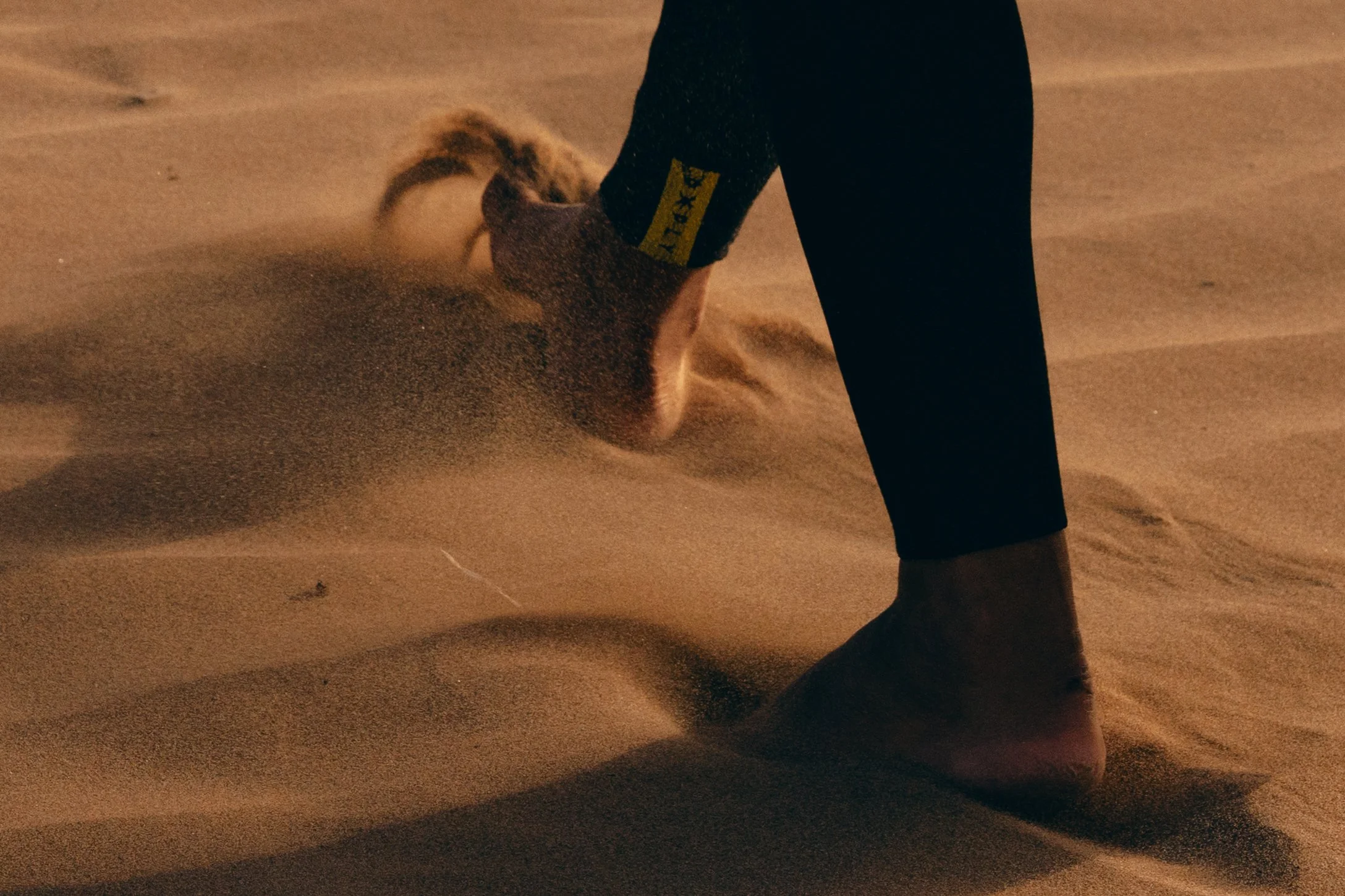 SB_05443.jpg
