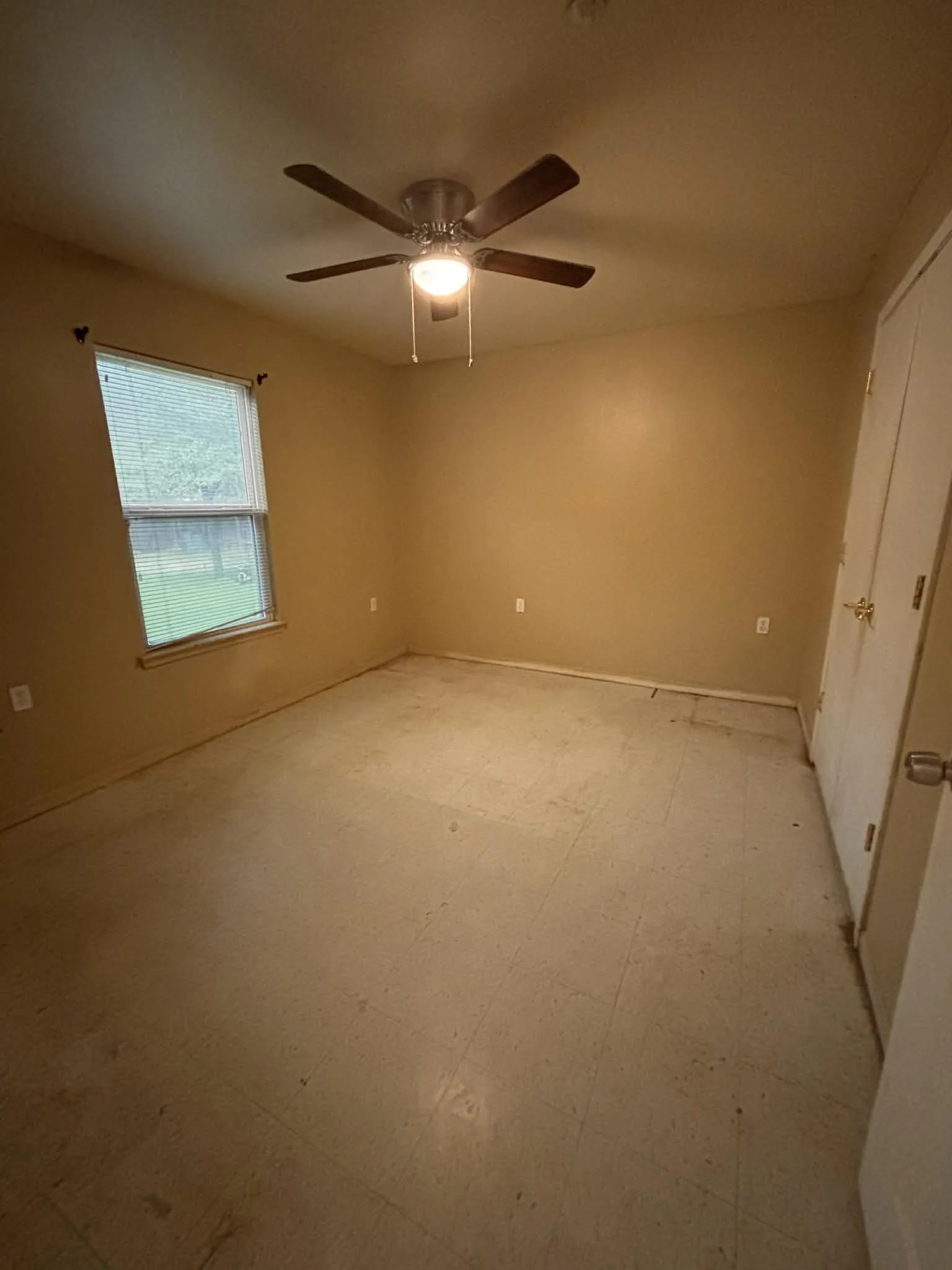 e200e86f-0c02-4406-a53e-e9c65d9ab741 (1).jpg