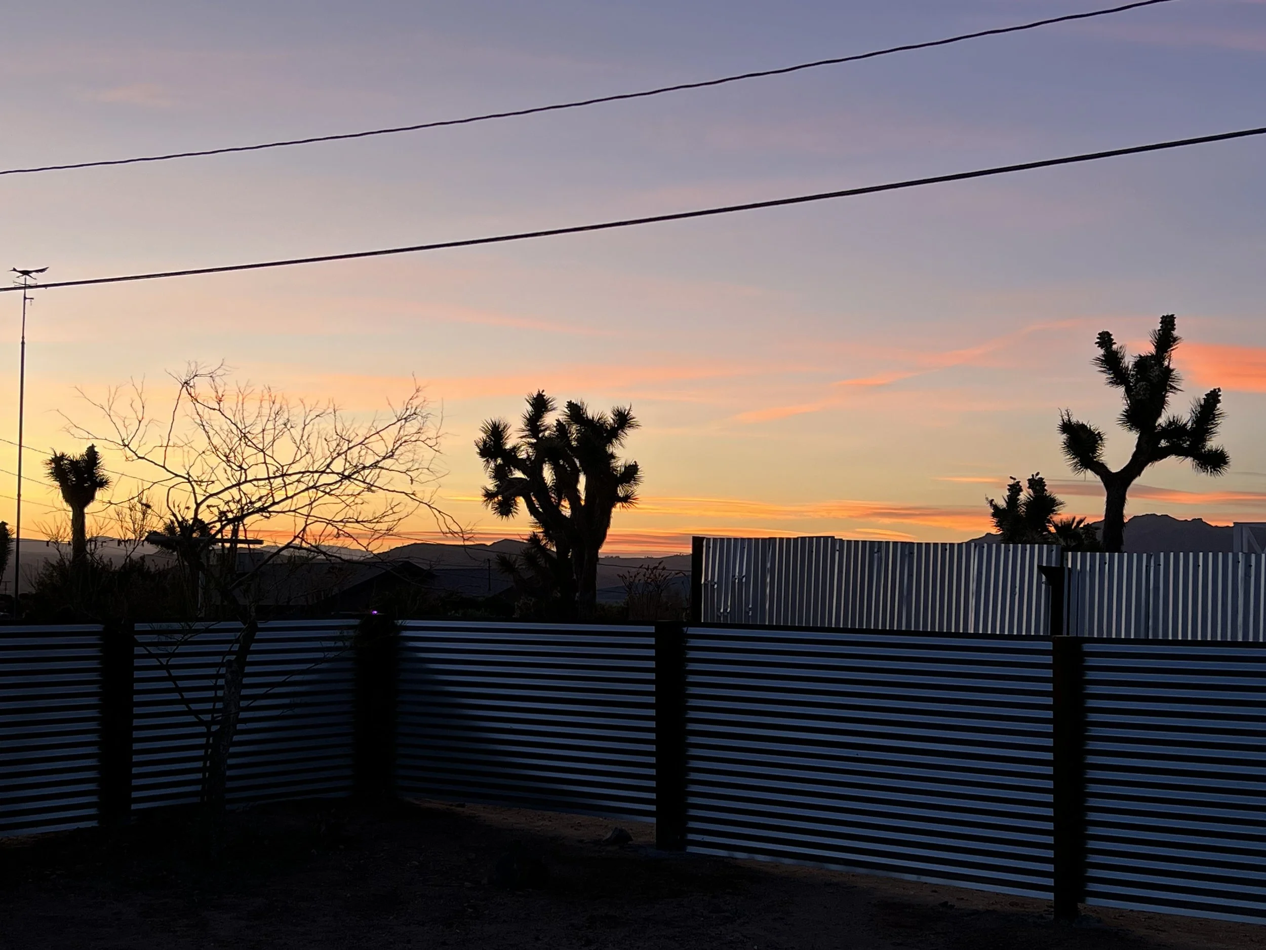 Desert landscape at sunset with silhouetted Joshua trees, a barren tree, power lines, a metal fence, and mountains in the distance.