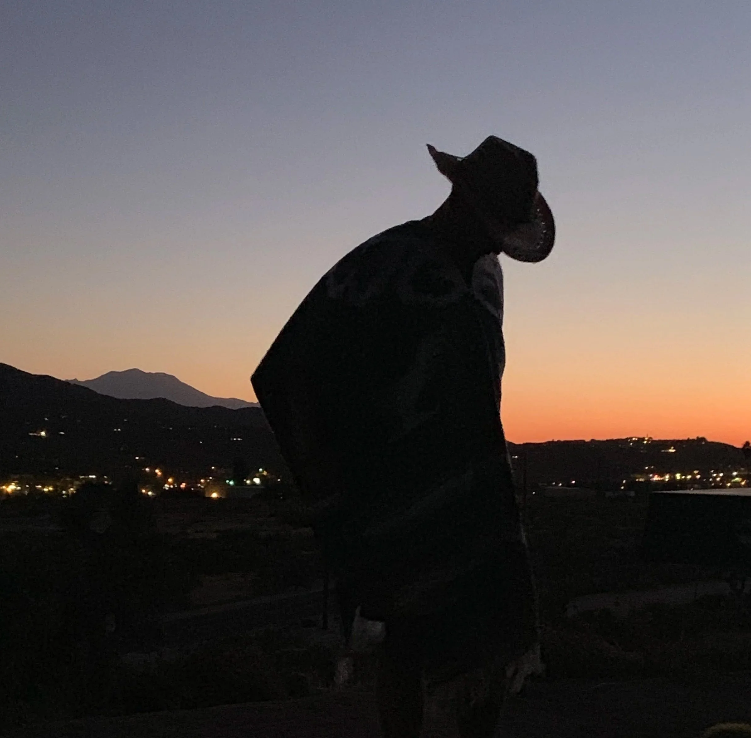 Silhouette of a person wearing a cowboy hat and jacket during sunset with mountains and city lights in the background.