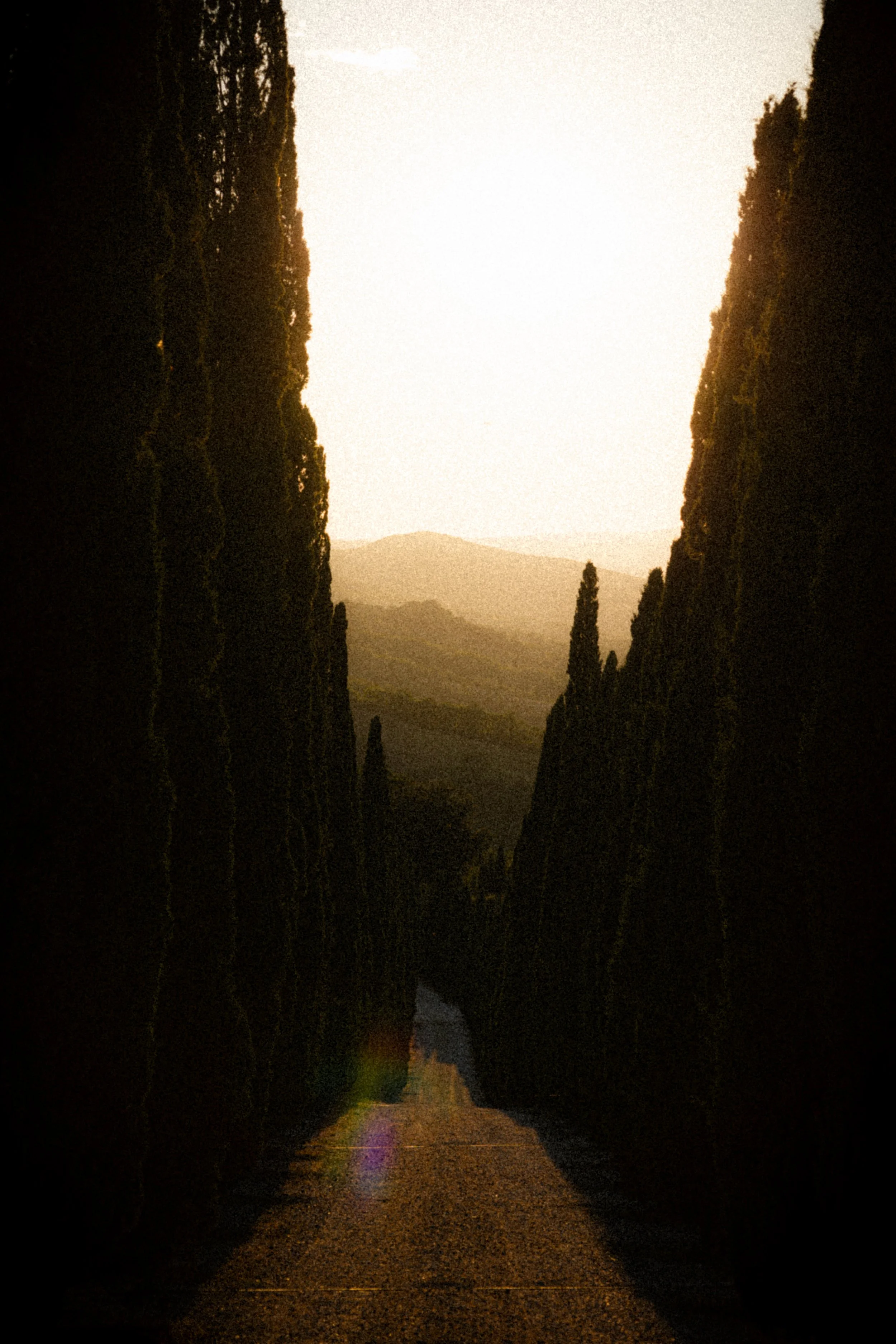 Tsokana Instagram-7.jpg