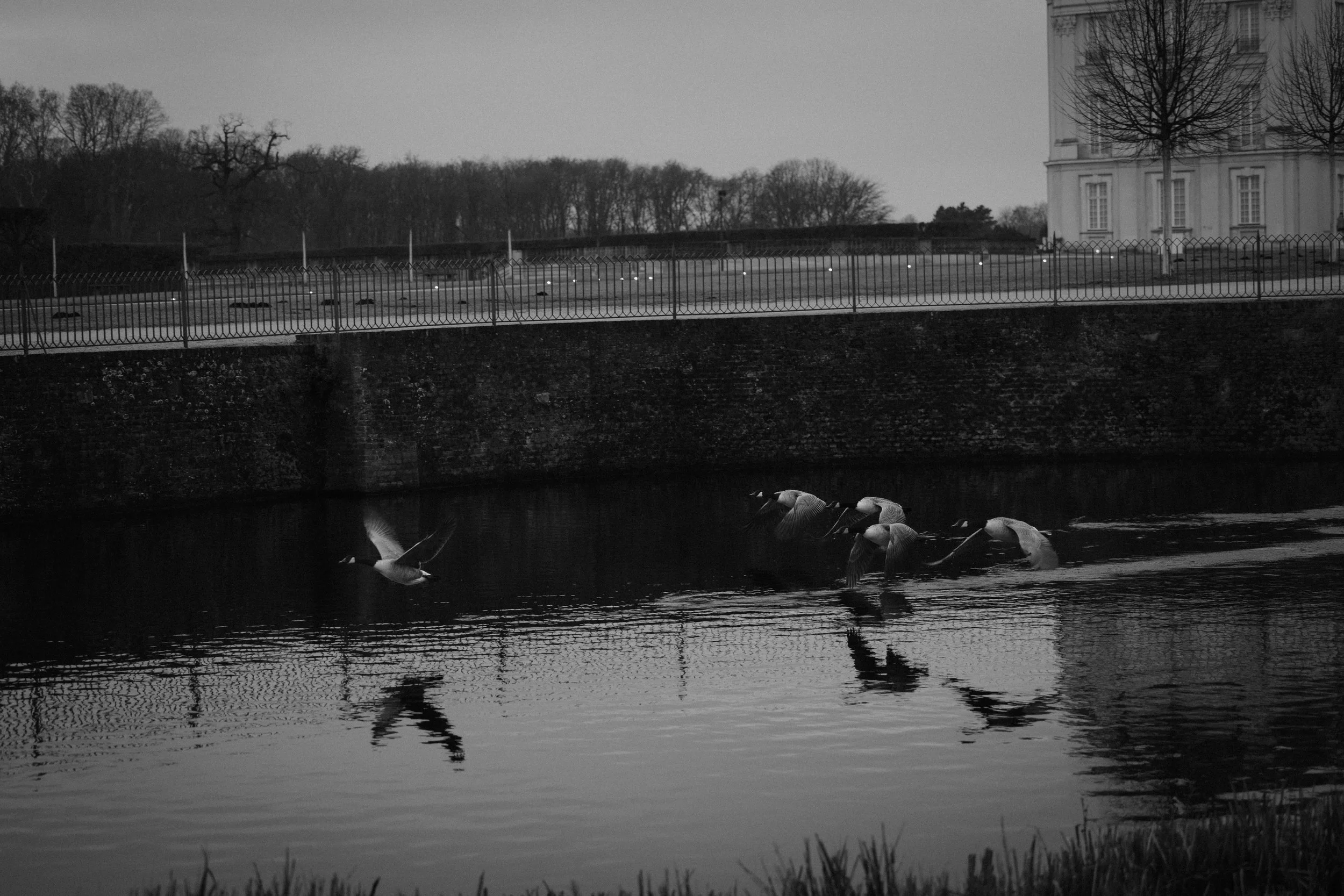 Lisa & Philipp Standesamt by AM-11.jpg