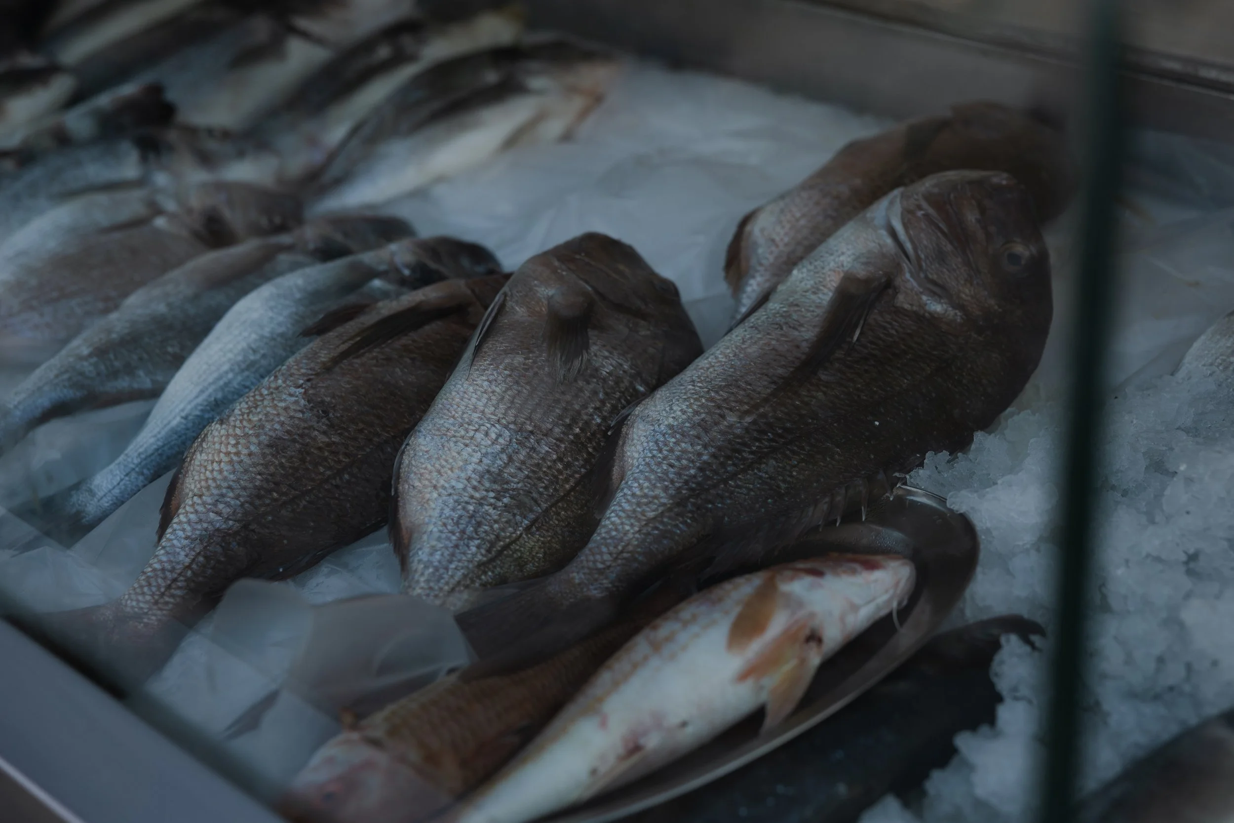 Jennie & Daniel freie Trauung by AM-520.jpeg