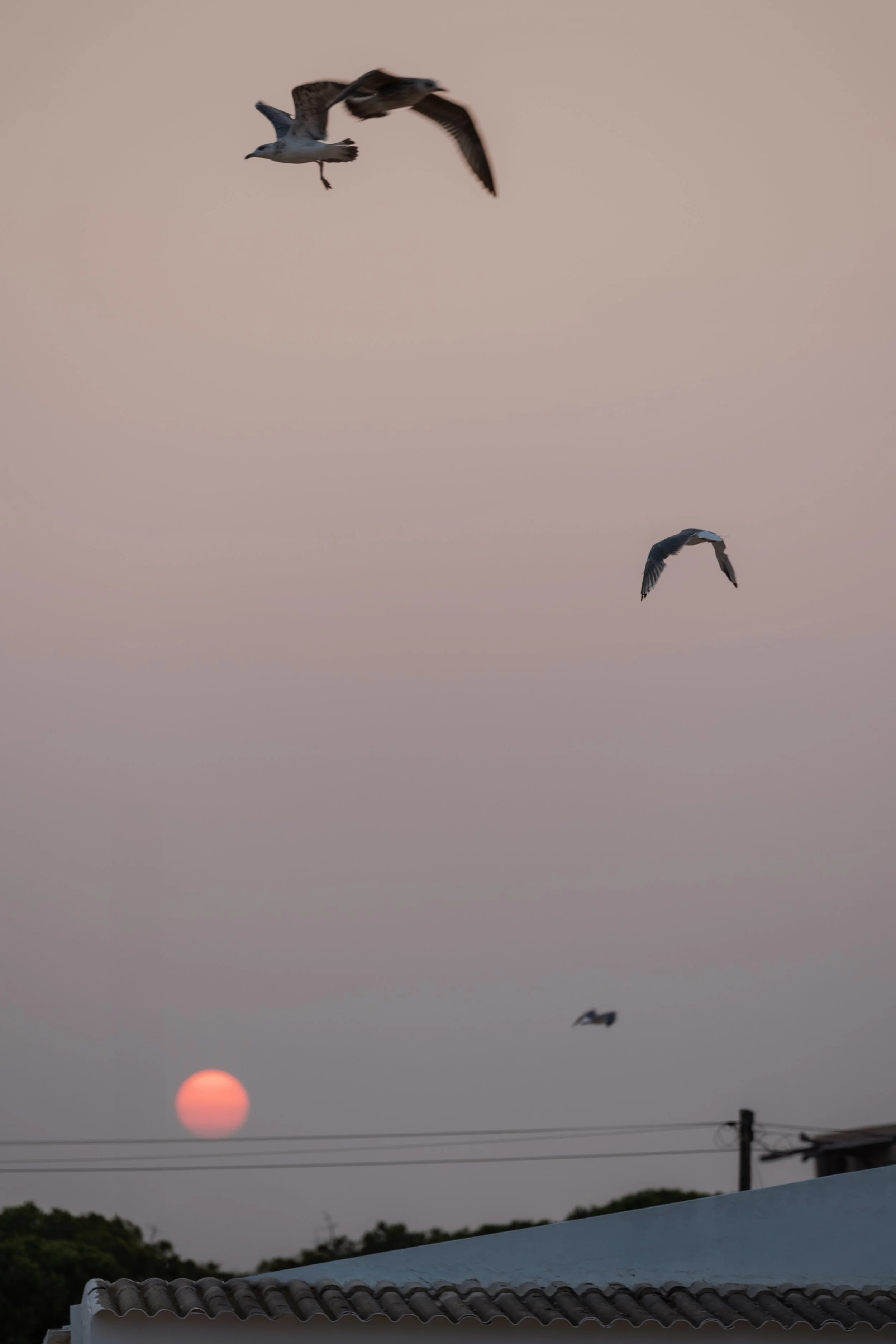 Jennie & Daniel freie Trauung by AM-531.jpeg