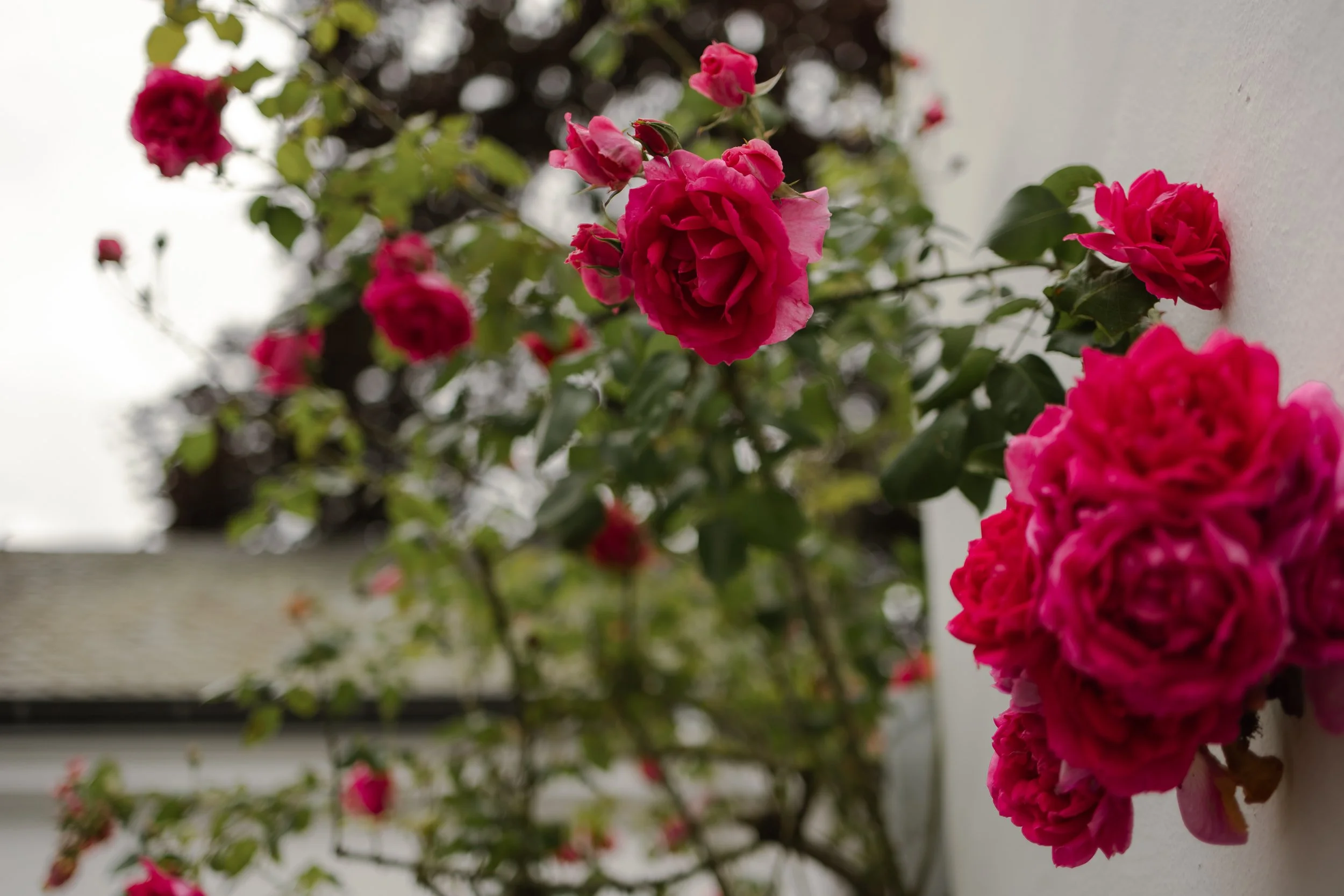 Laura & Philipp Standesamt by AM-8.jpg