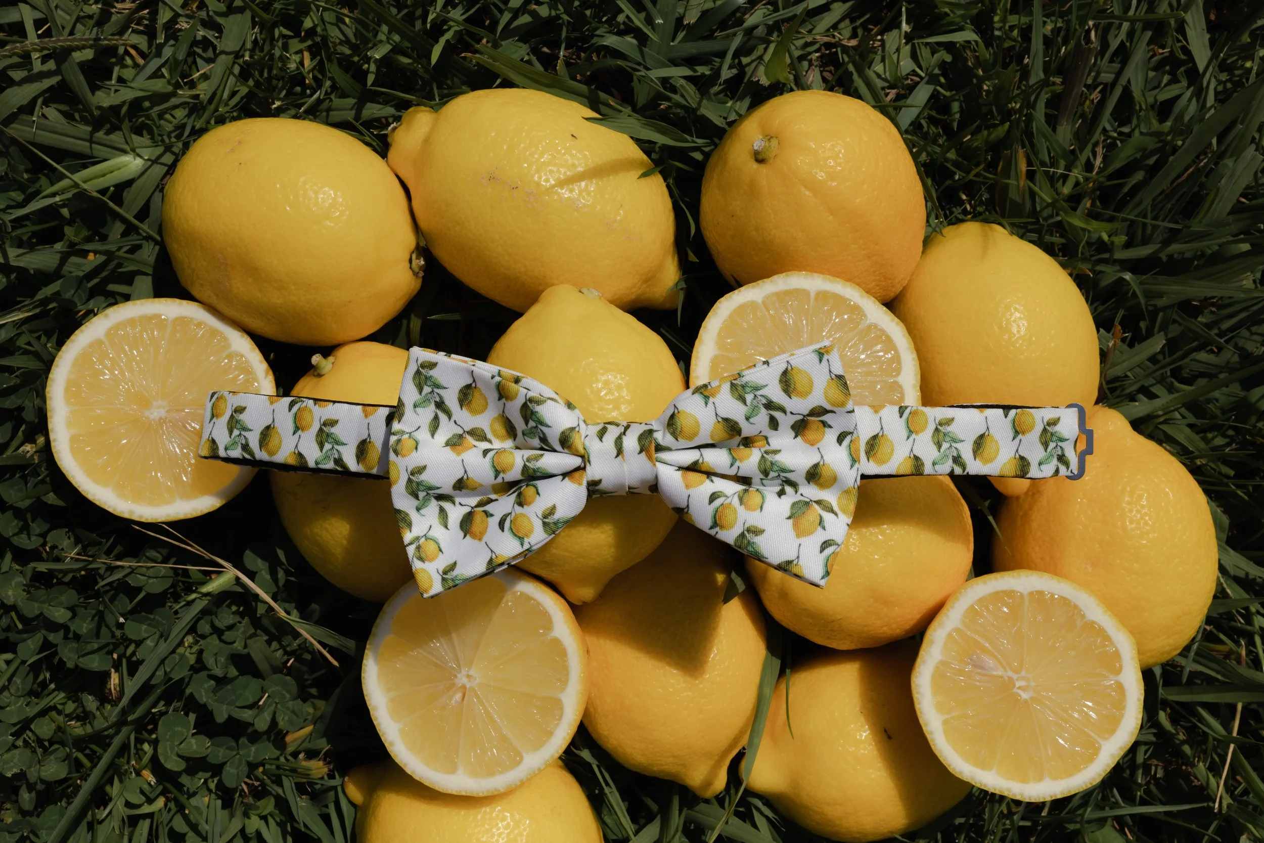 Jennie & Daniel freie Trauung by AM-173.jpg